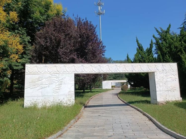 河萍公园旅行图片 3