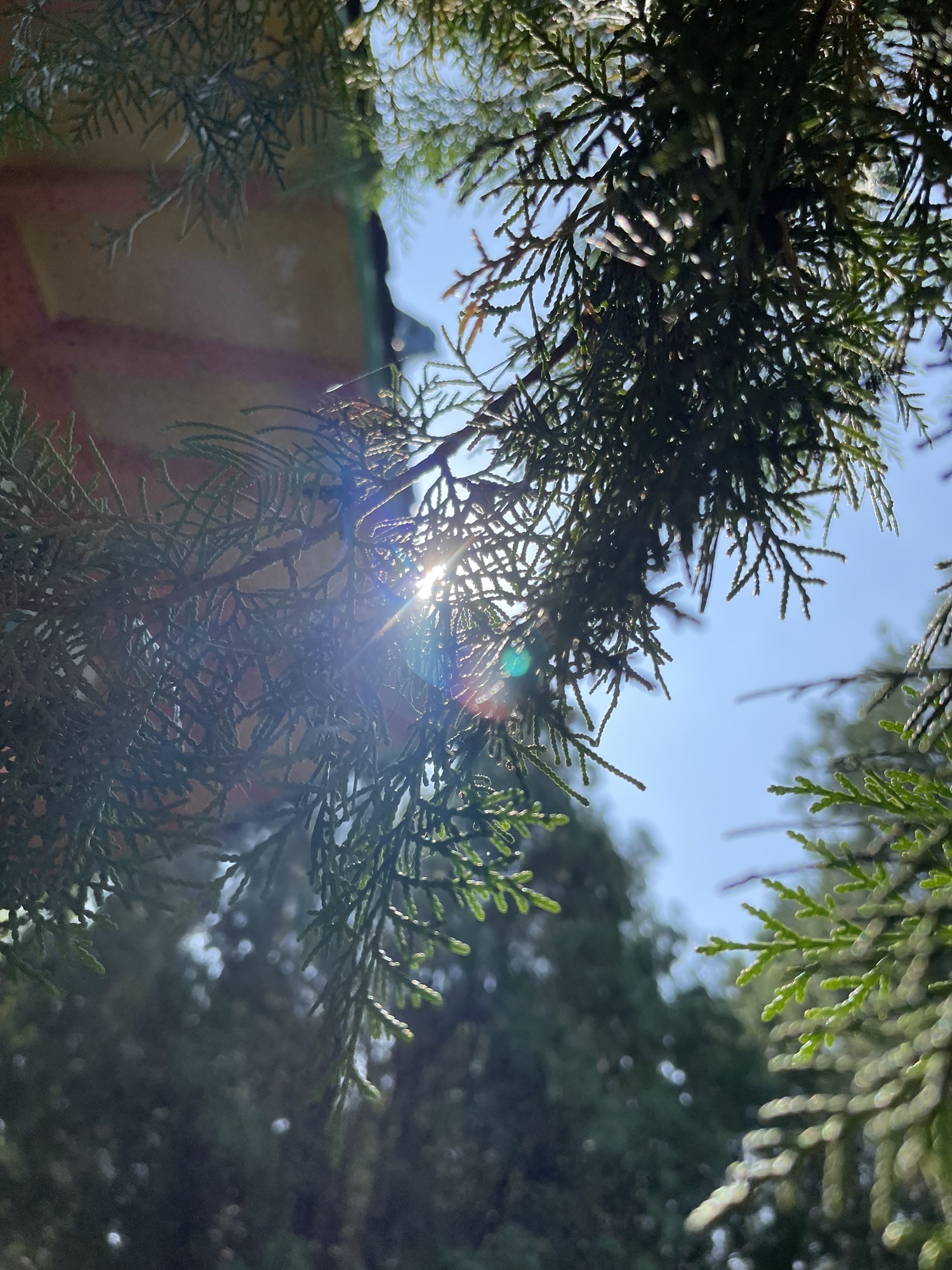 翠屏公园旅行图片 3