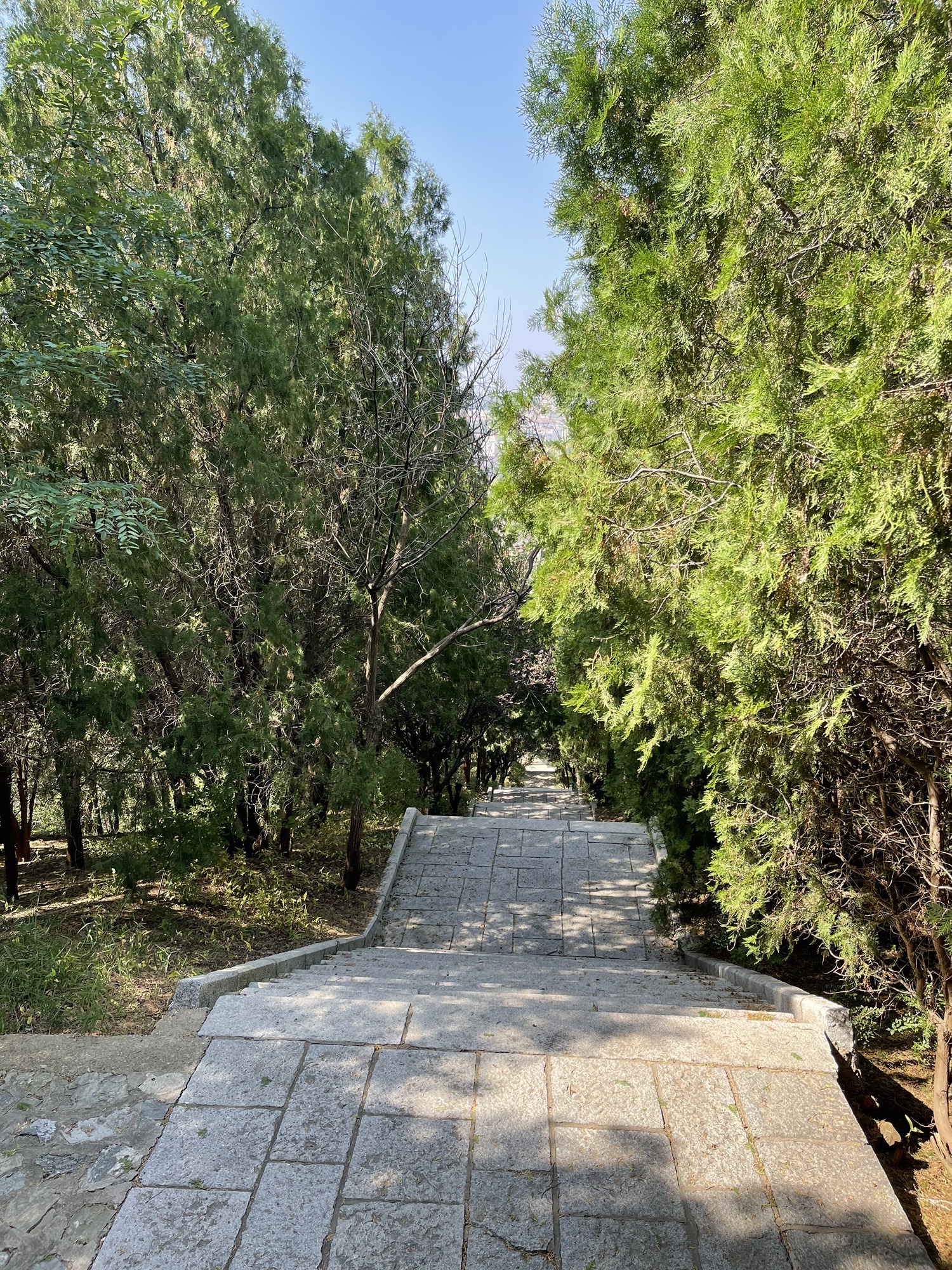 翠屏公园旅行图片 1