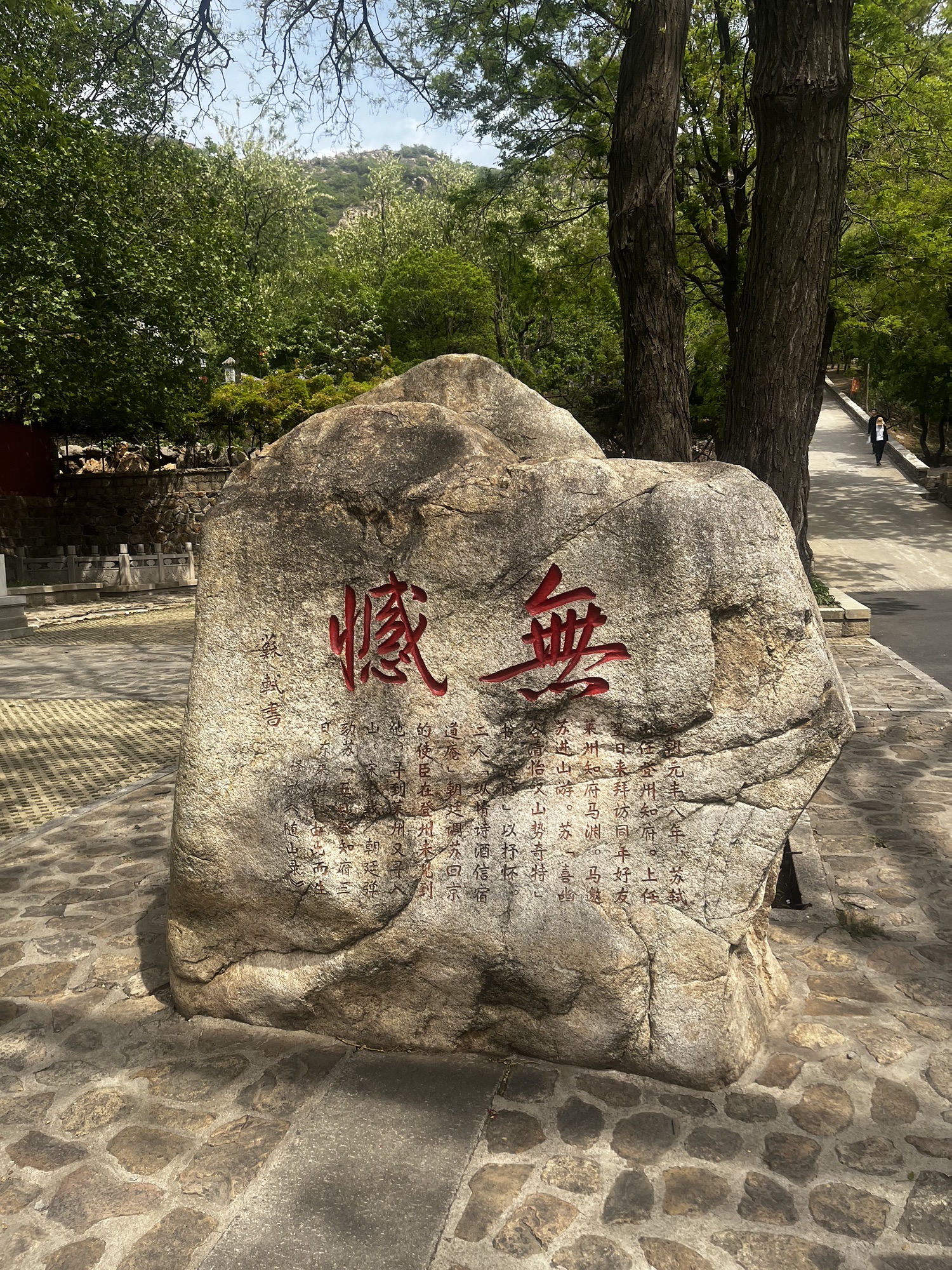 大基山森林公园旅行图片 1