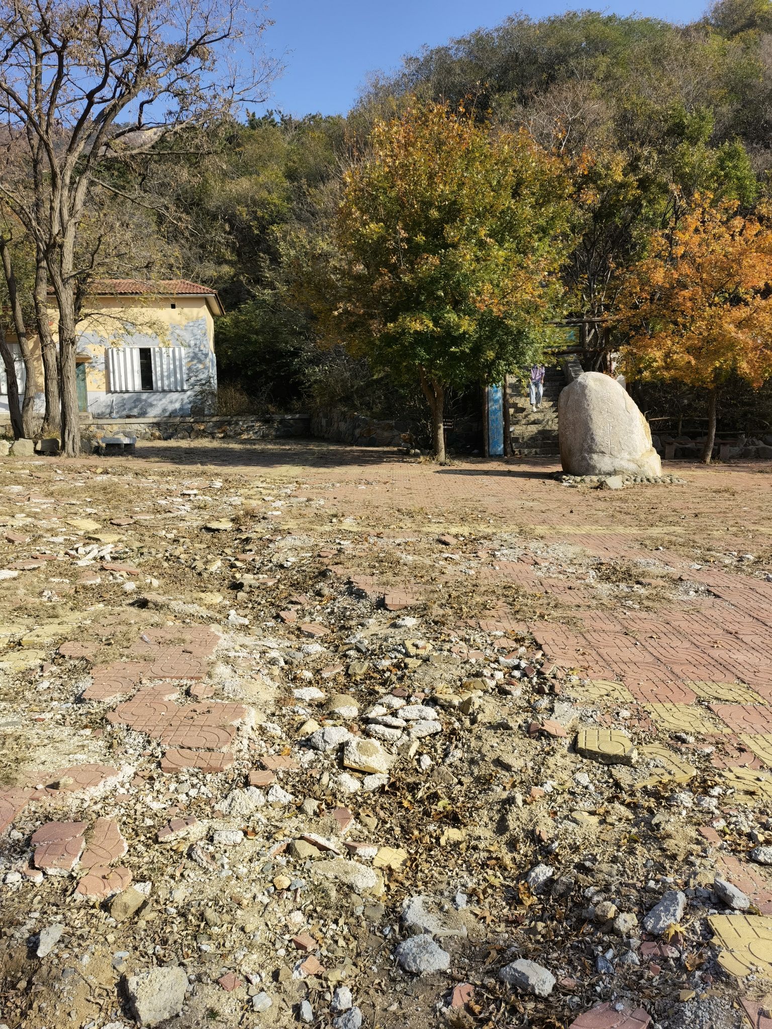 大基山森林公园旅行图片 1
