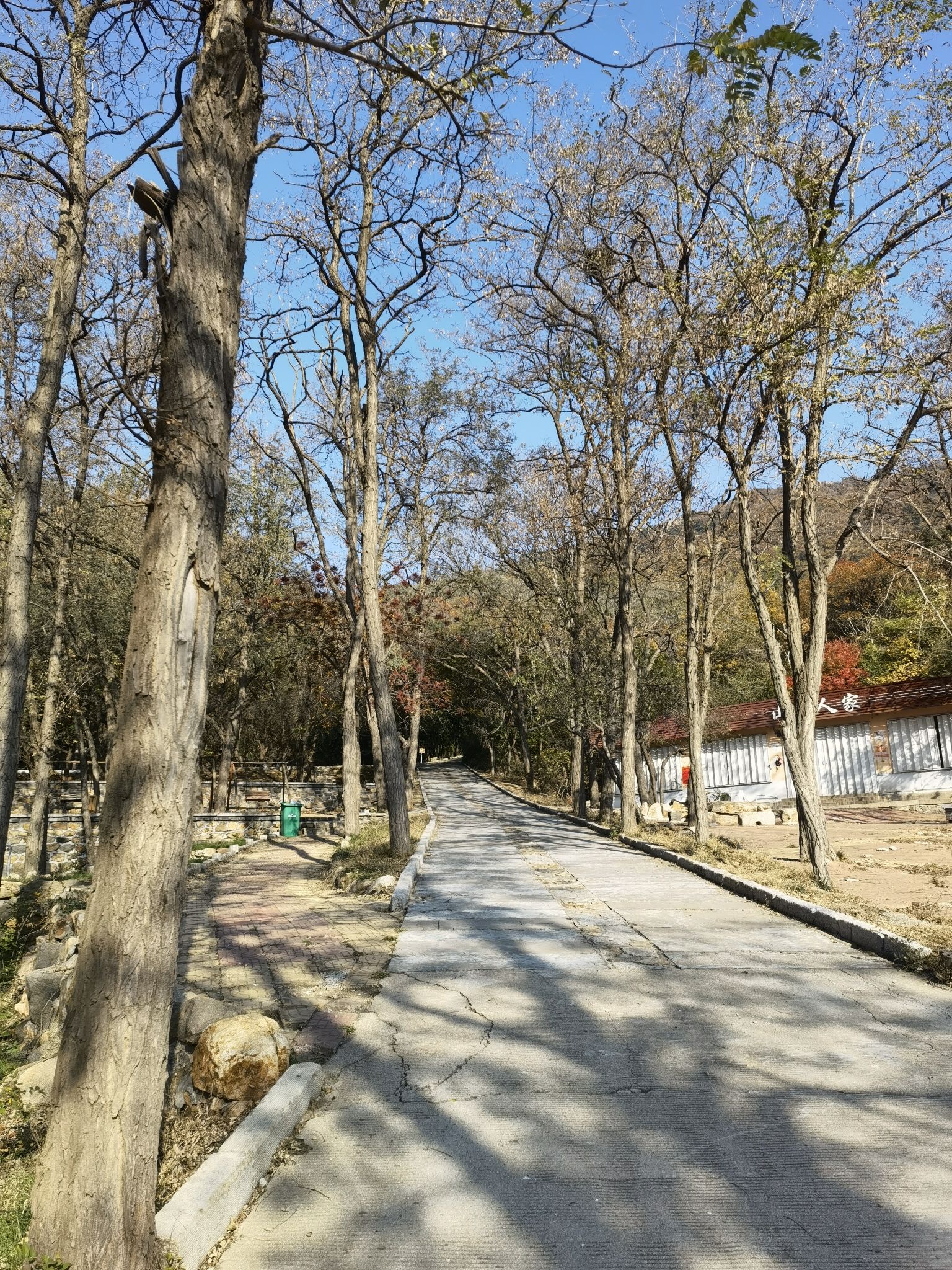 大基山森林公园旅行图片 2