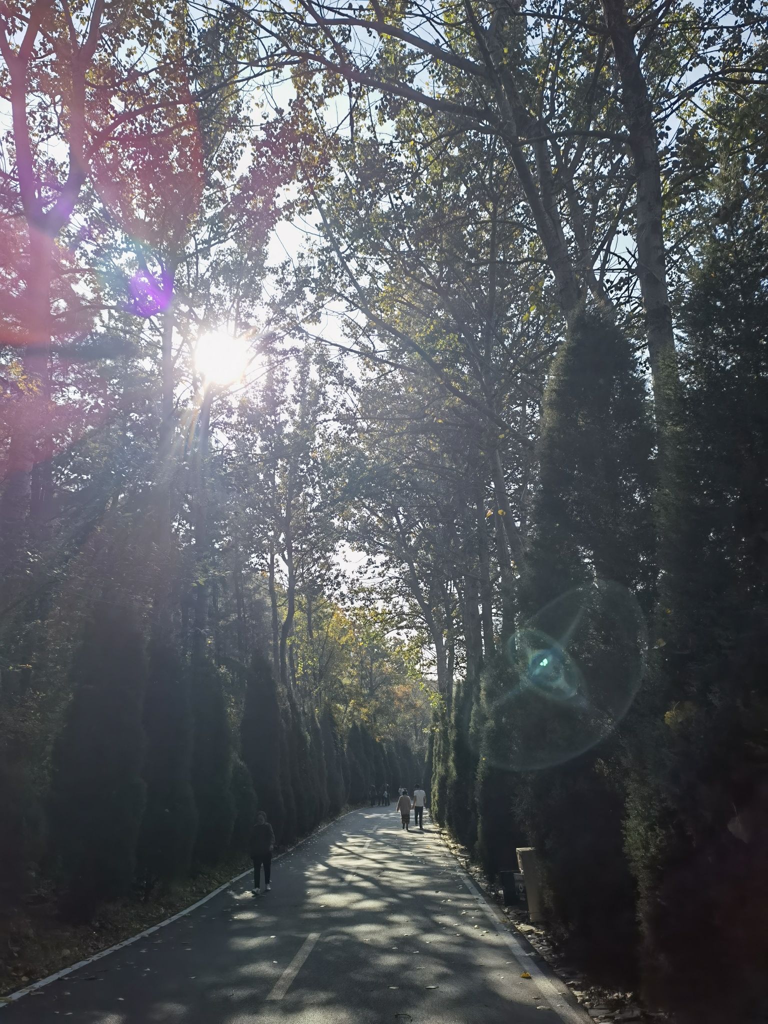 大基山森林公园旅行图片 3