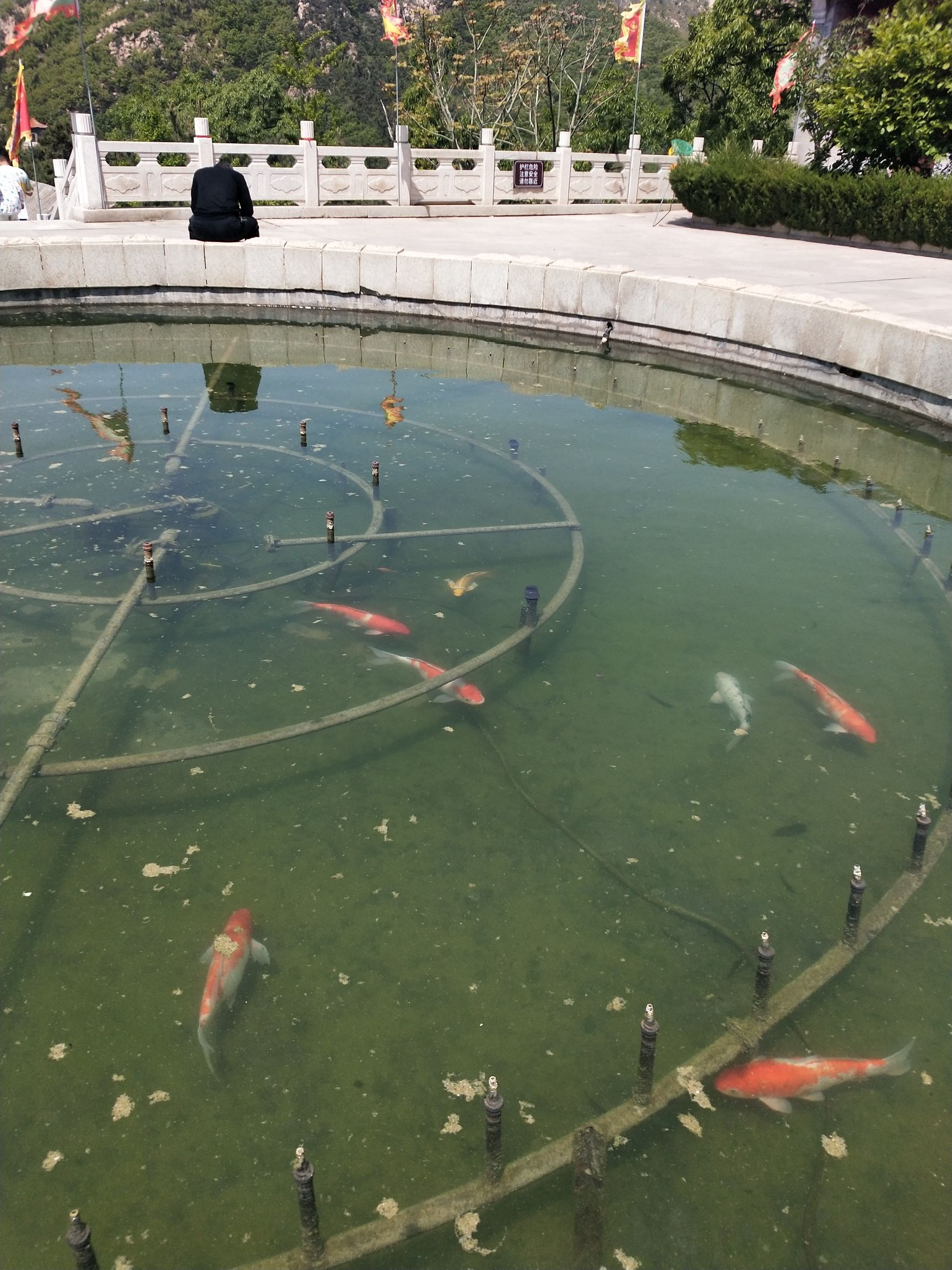 大基山森林公园旅行图片 1