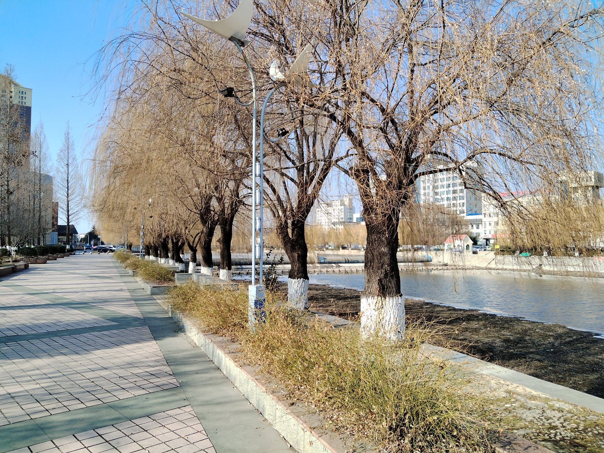 新元广场旅行图片 2