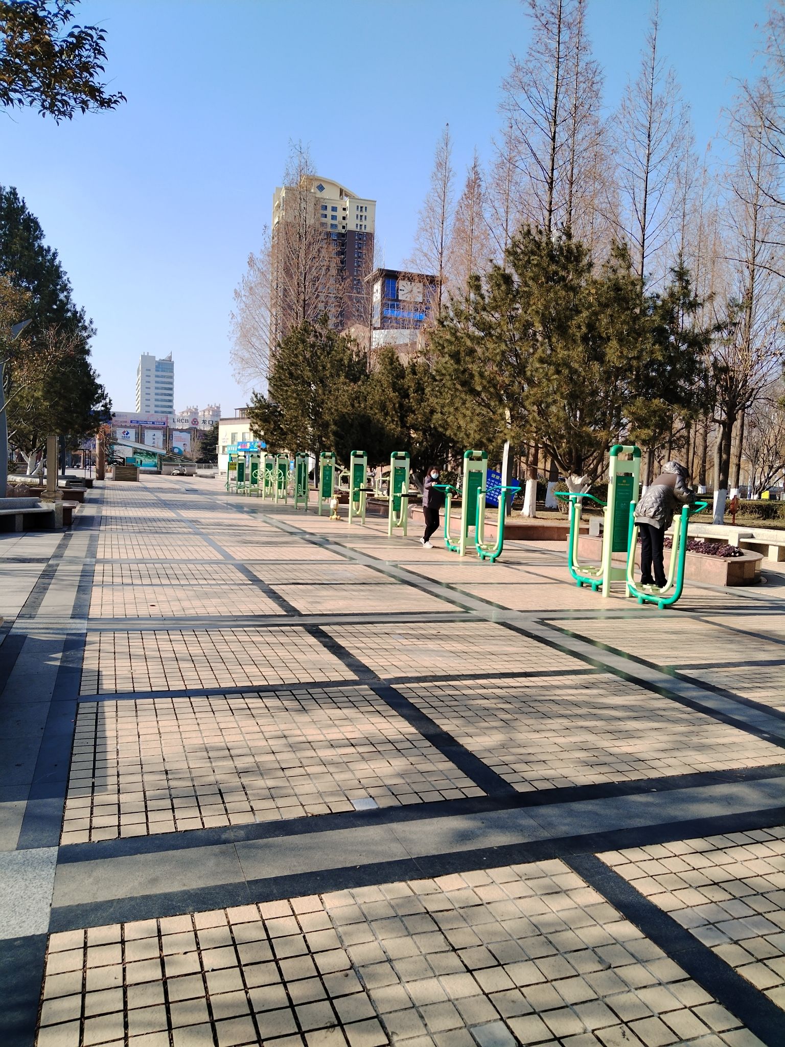 新元广场旅行图片 3