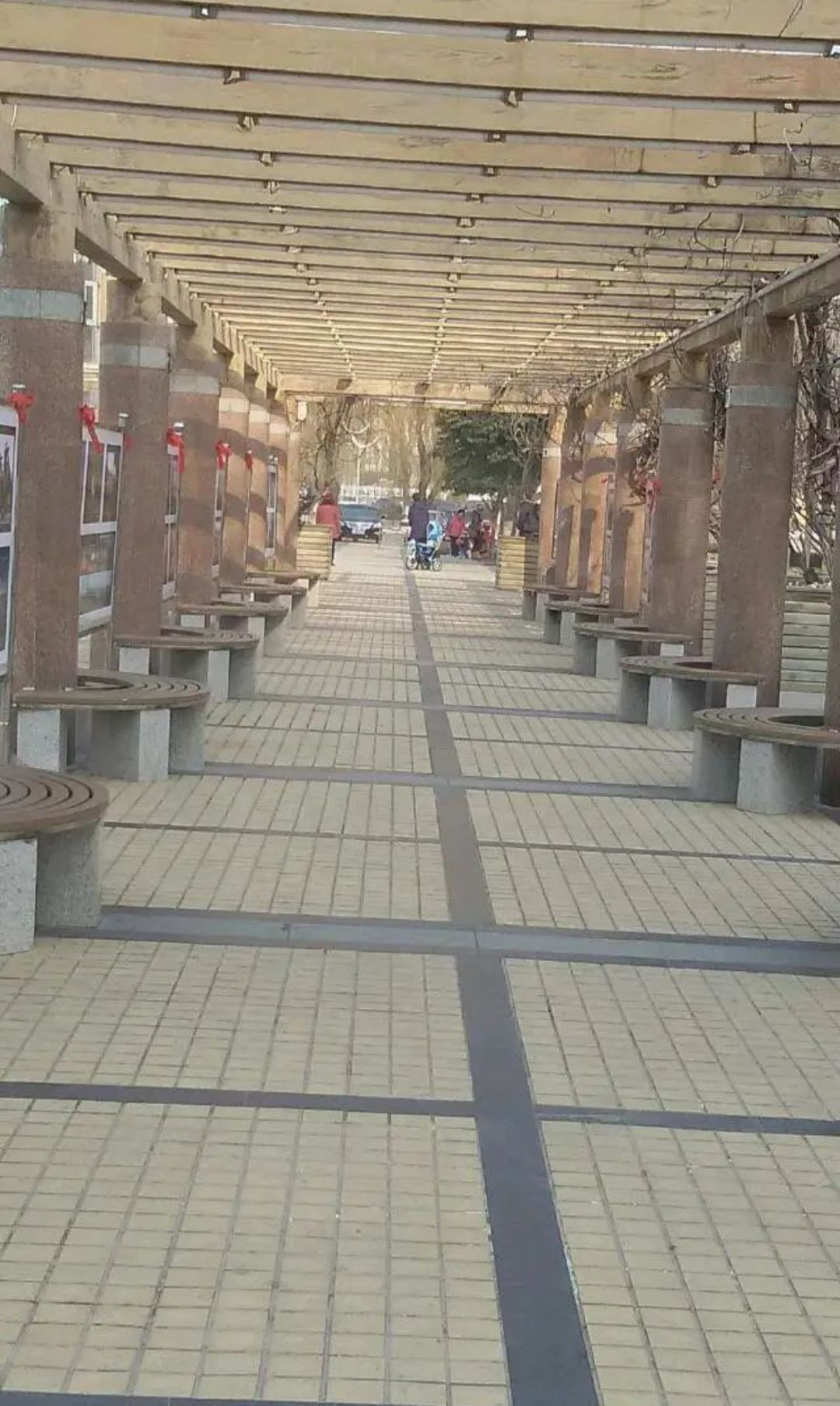 新元广场旅行图片 2
