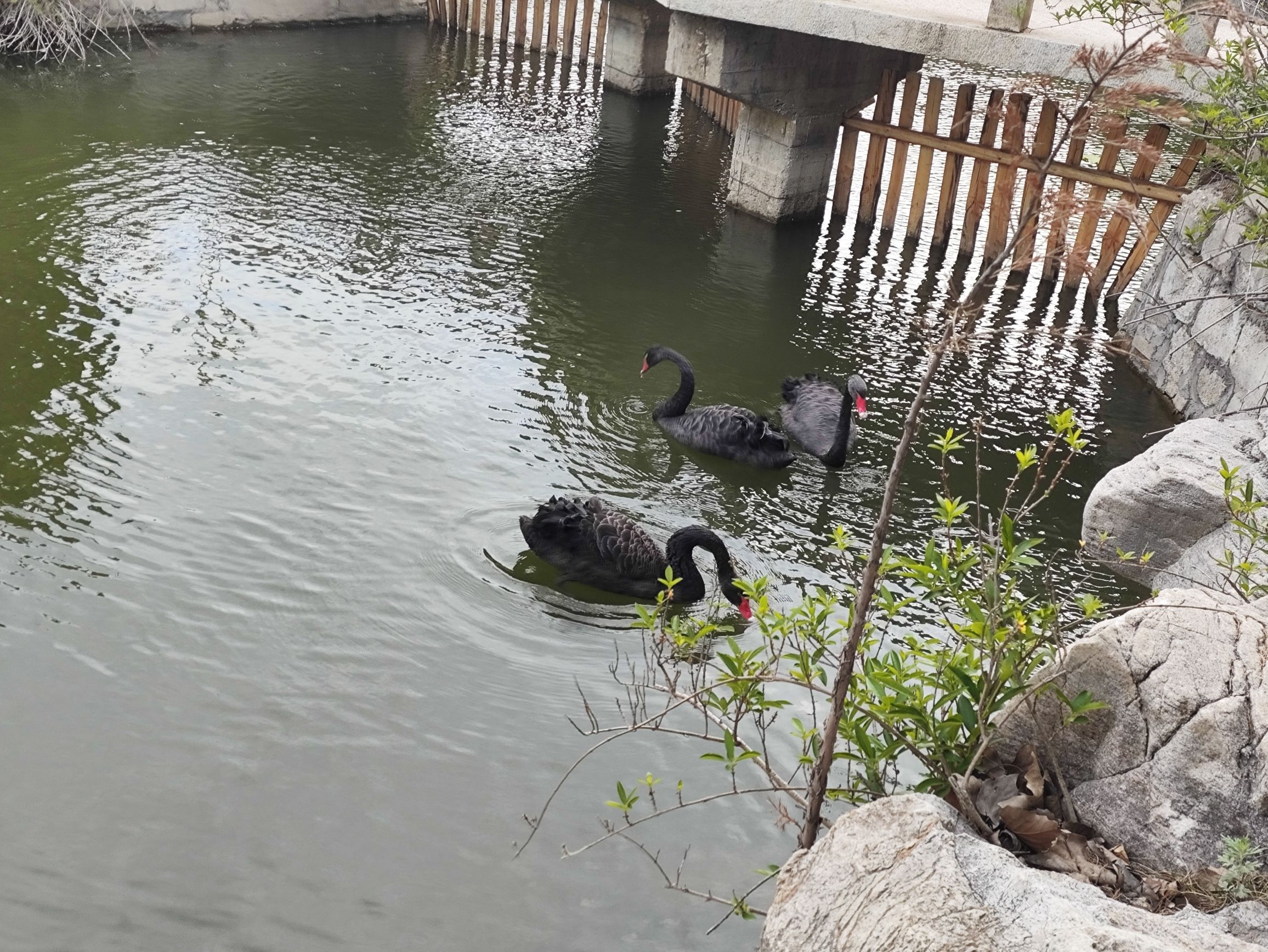 快活岭公园旅行图片 2