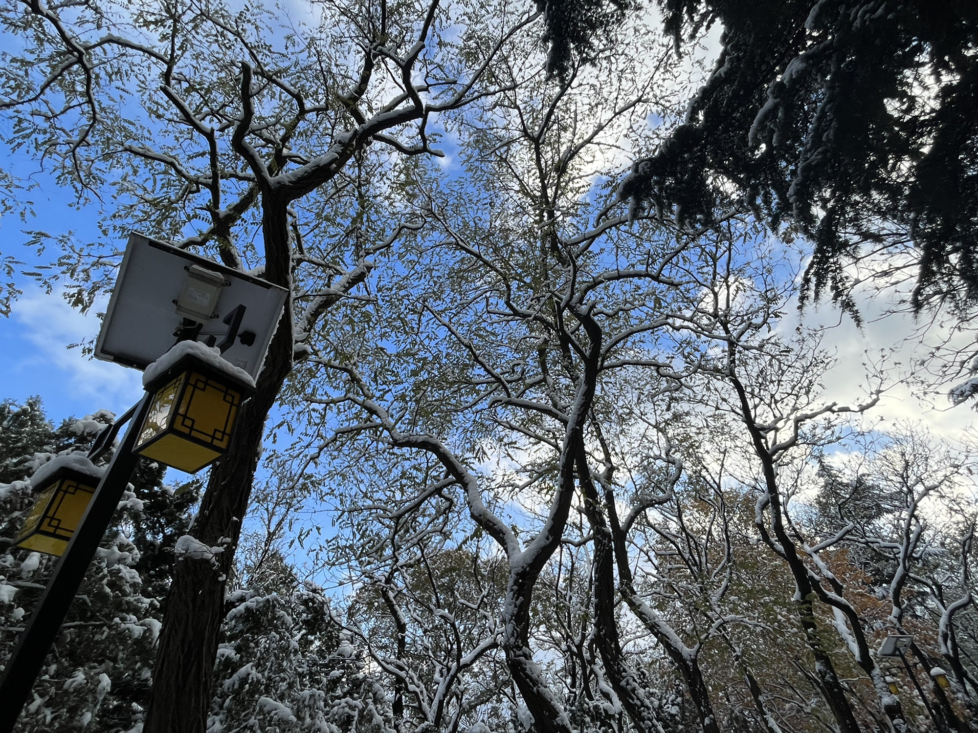 毓璜顶公园旅行图片 3