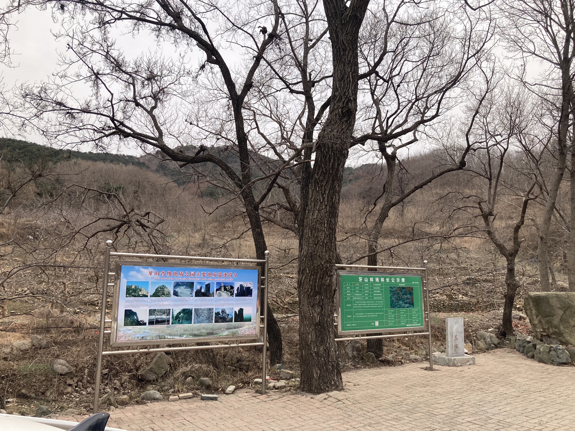 牙山省级自然保护区(不对外开放)旅行图片 3