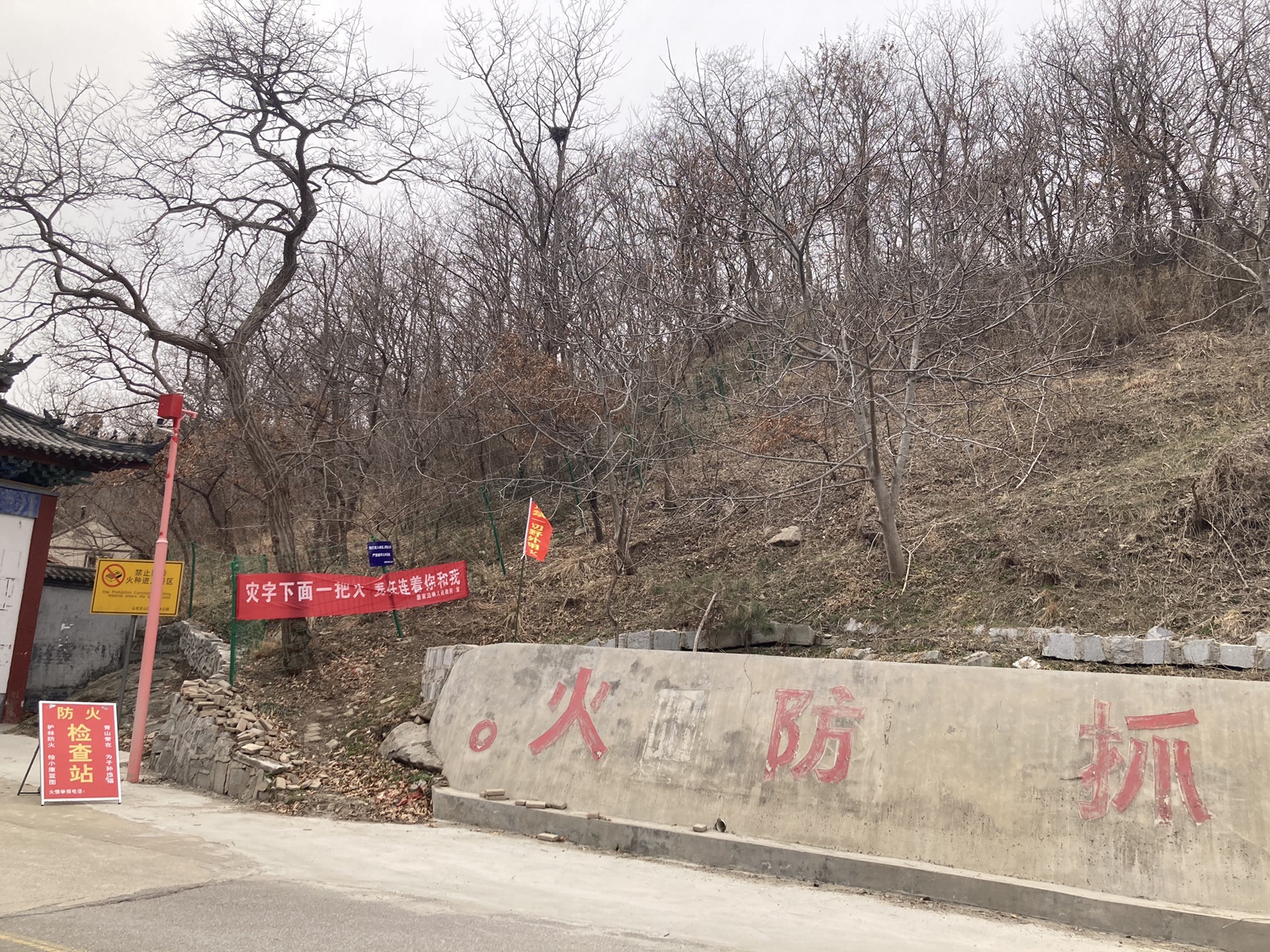 牙山省级自然保护区(不对外开放)旅行图片 2