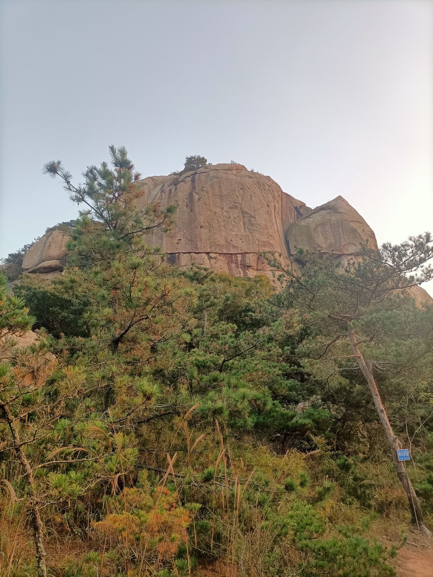 丛麻禅院旅行图片 1