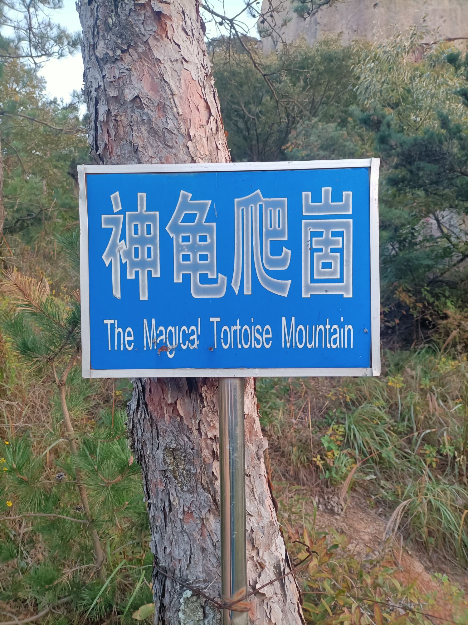 丛麻禅院旅行图片 2