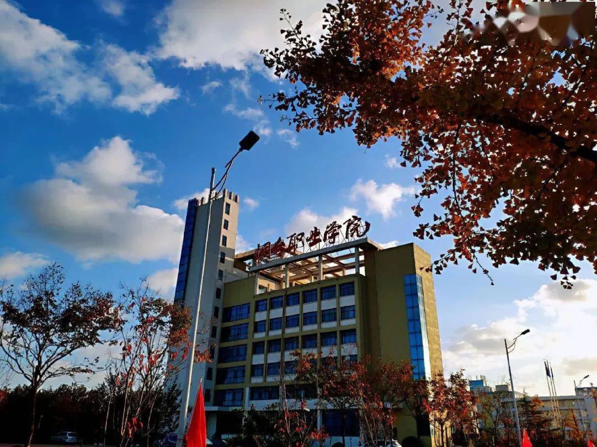 烟台职业学院
