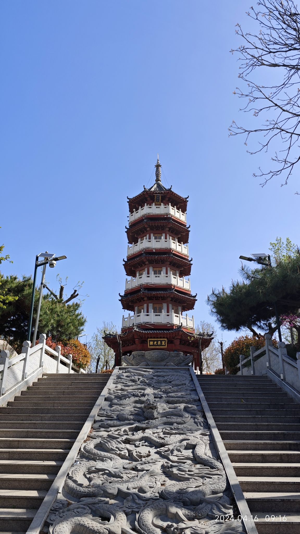 黄金河动物园旅行图片 3