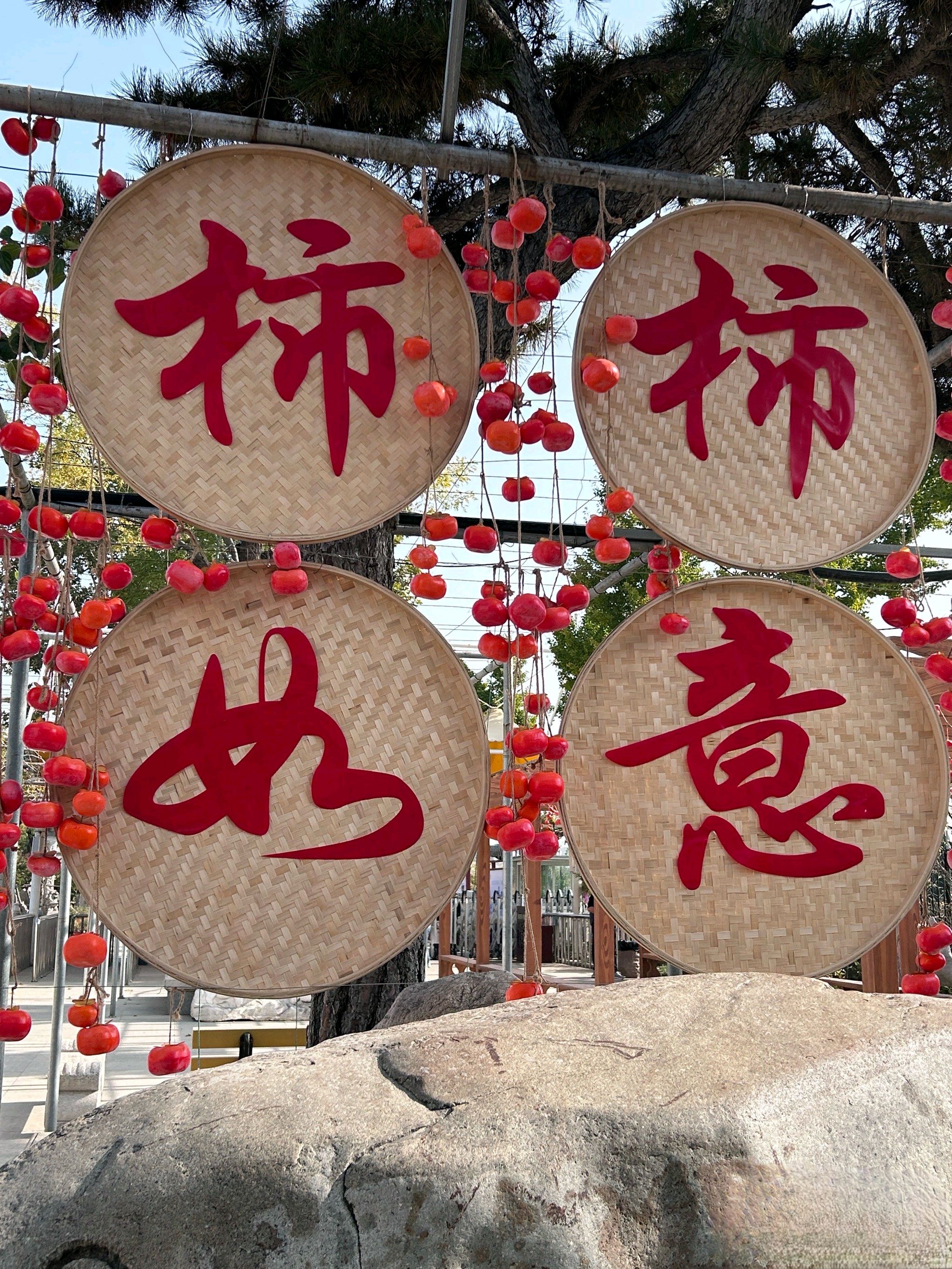 黄金河动物园旅行图片 2