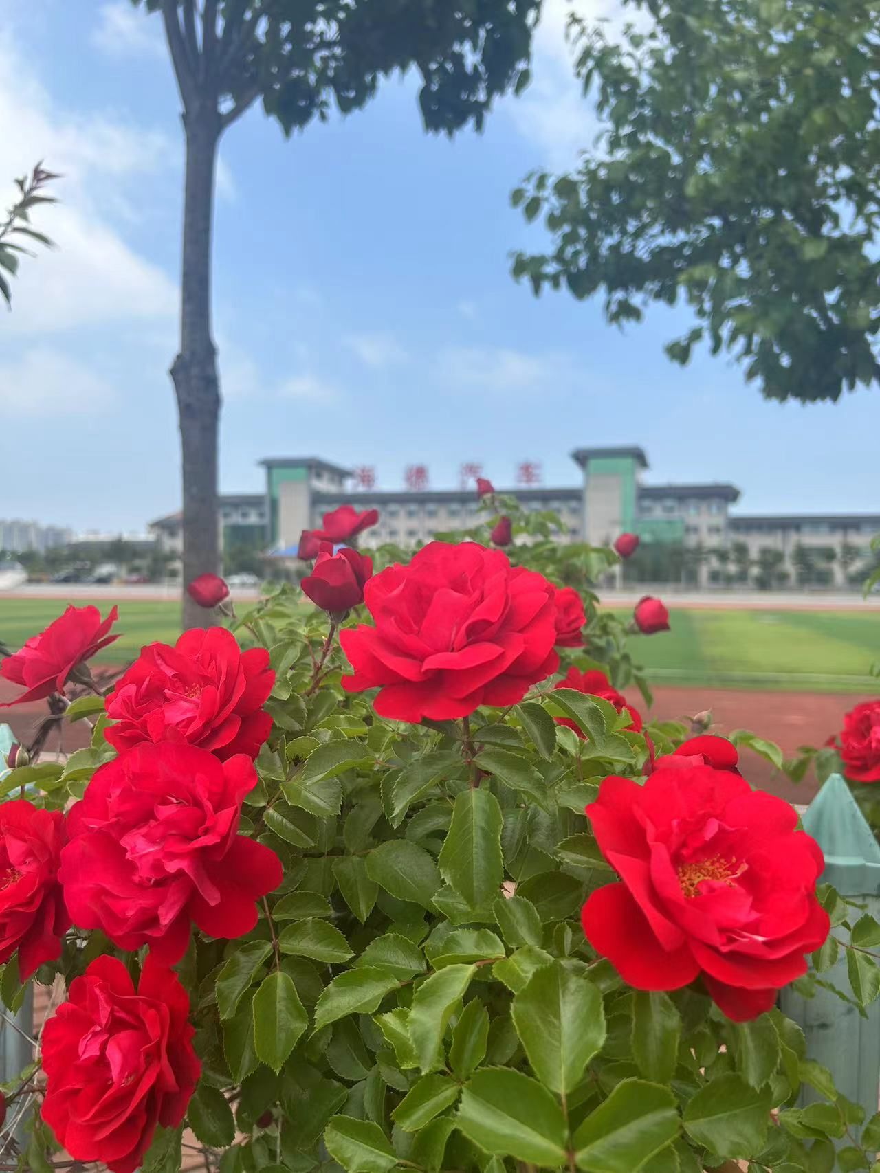 海德汽车体育公园旅行图片 1