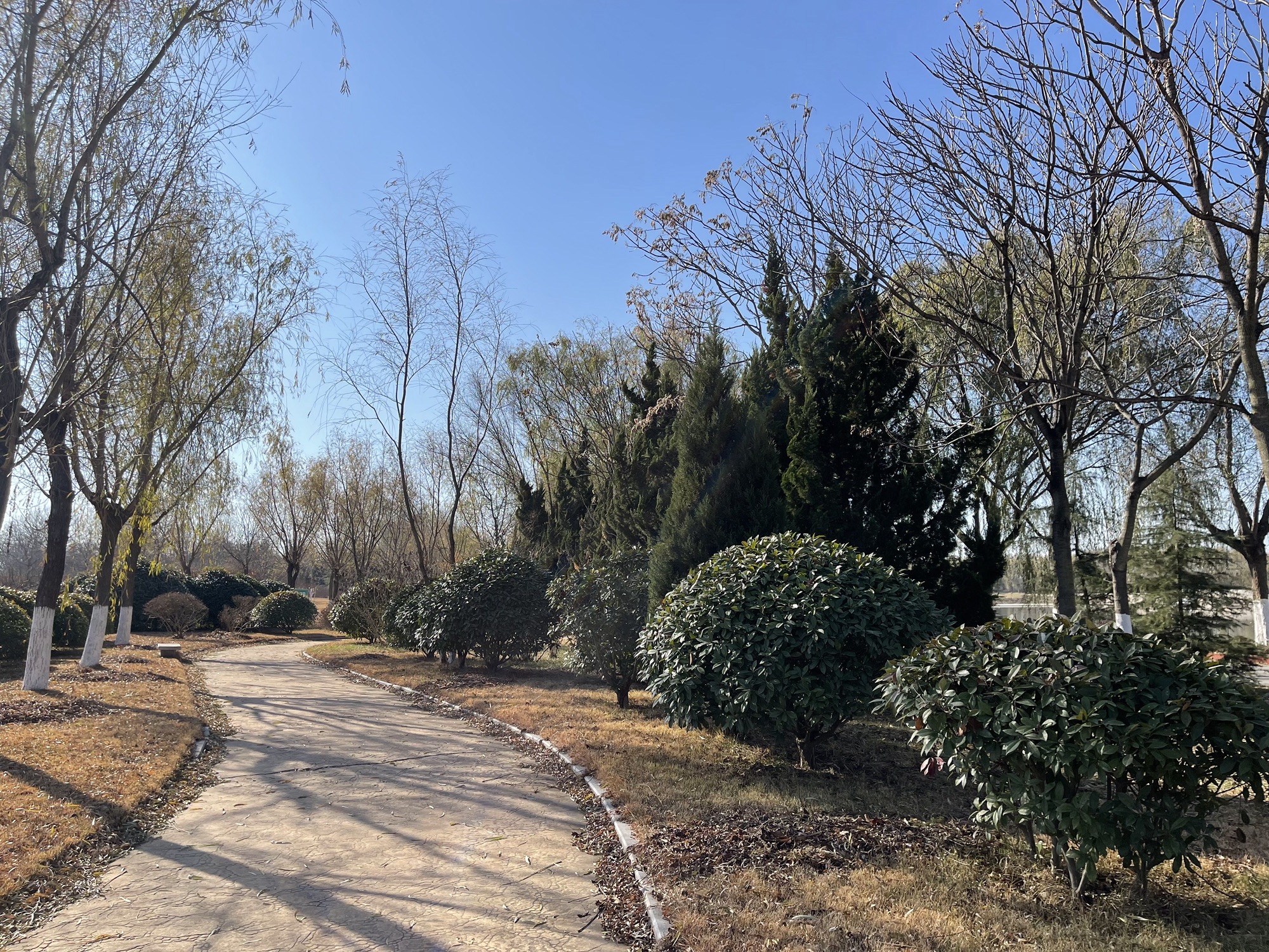 万紫园旅行图片 3