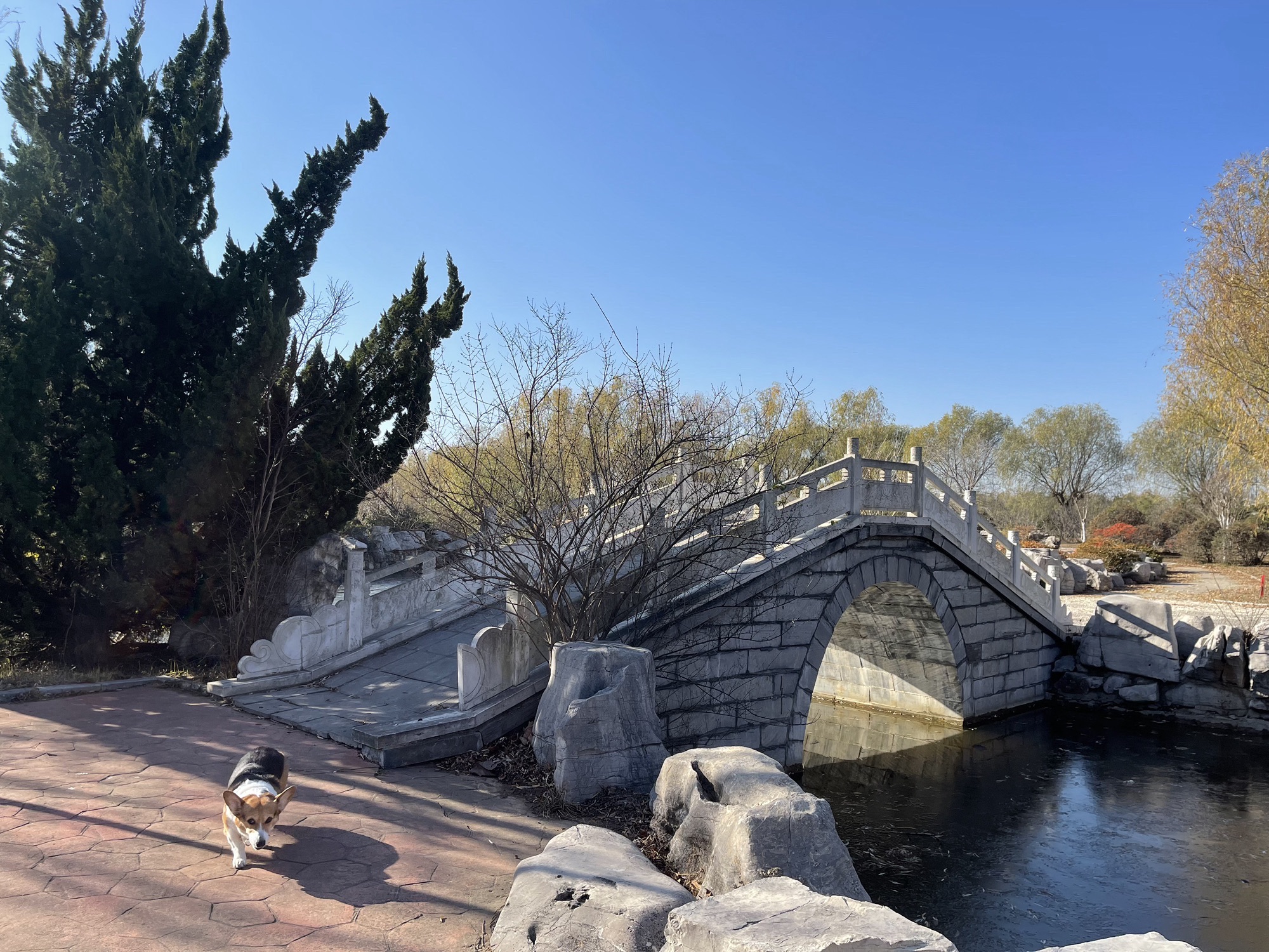 万紫园旅行图片 1
