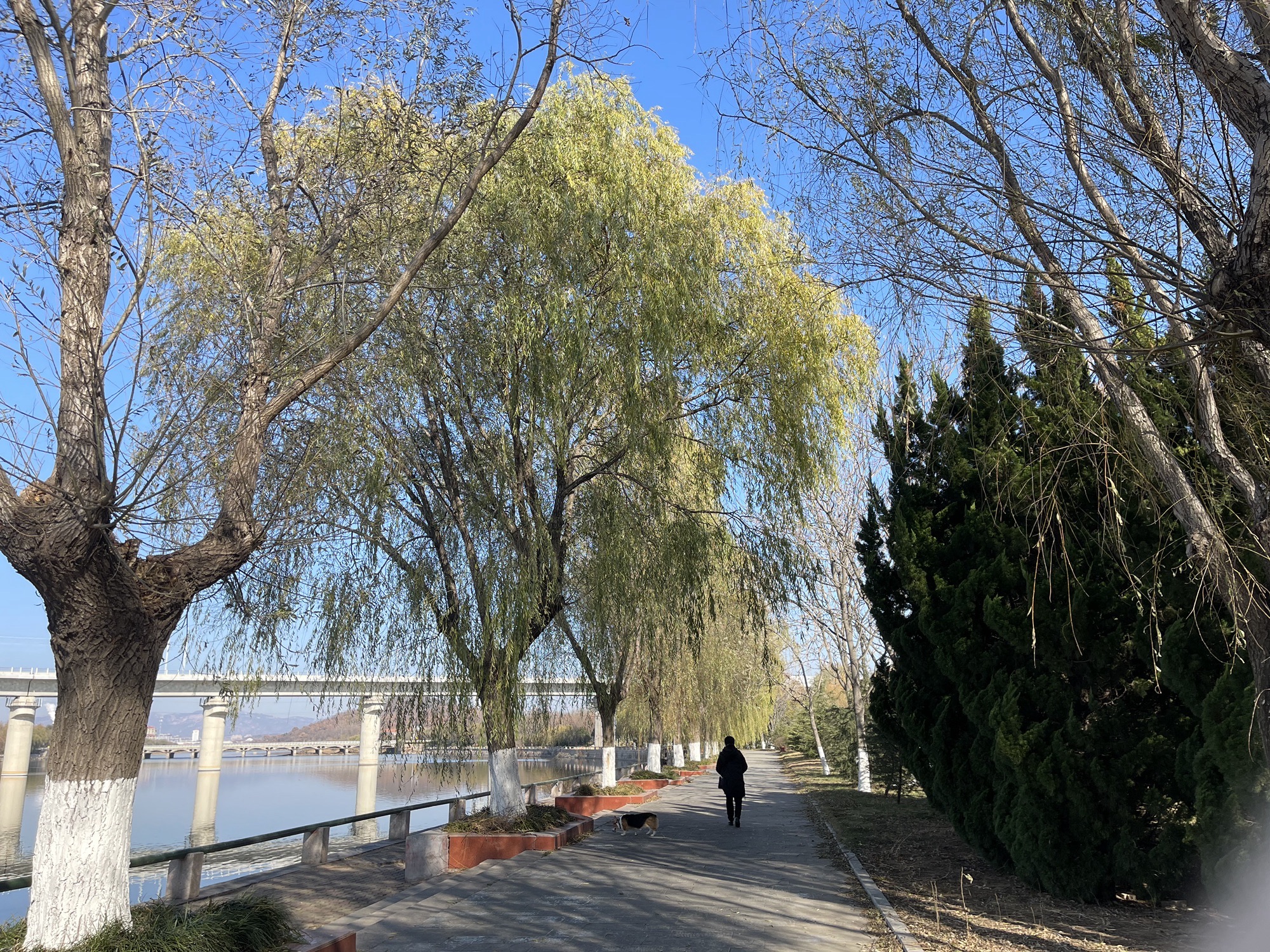 万紫园旅行图片 2