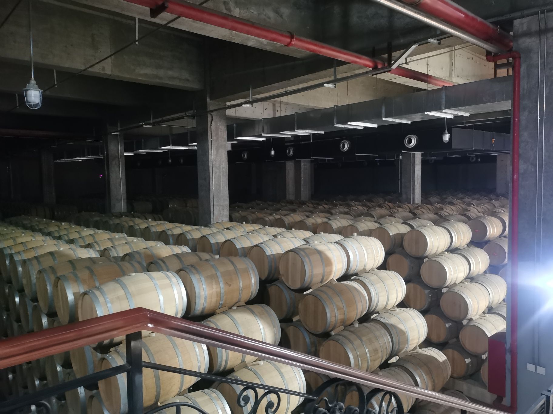 张裕国际葡萄酒城旅行图片 2