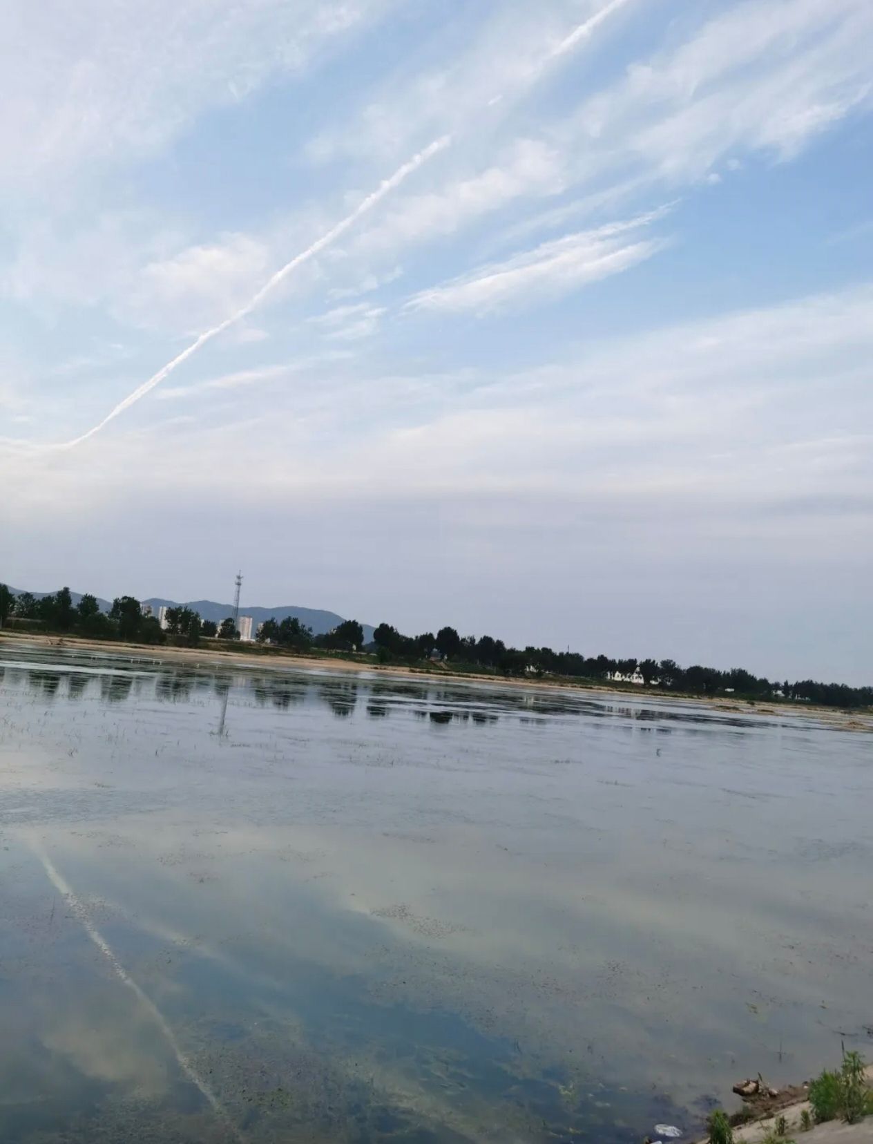夹河跑马公园旅行图片 2