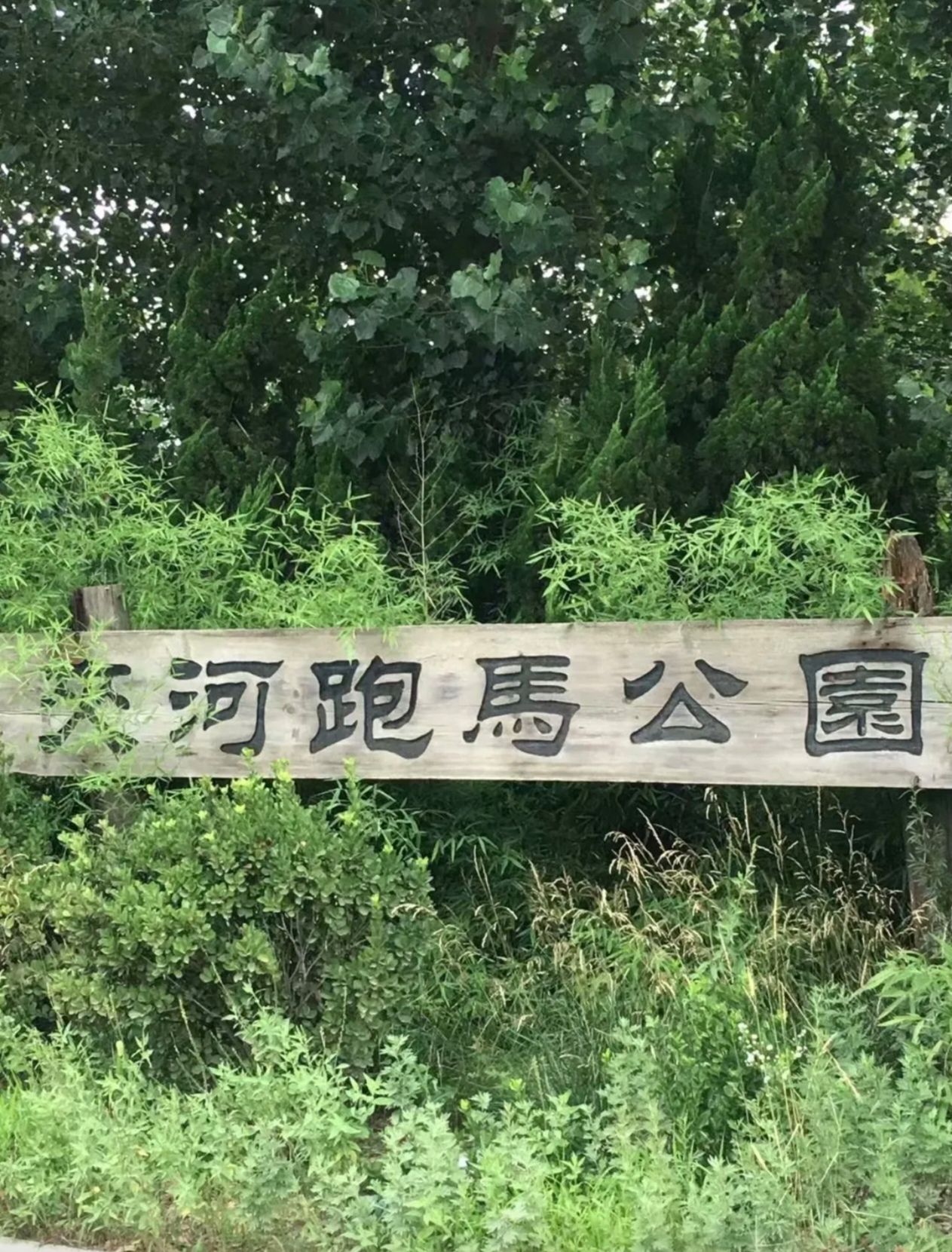 夹河跑马公园旅行图片 3