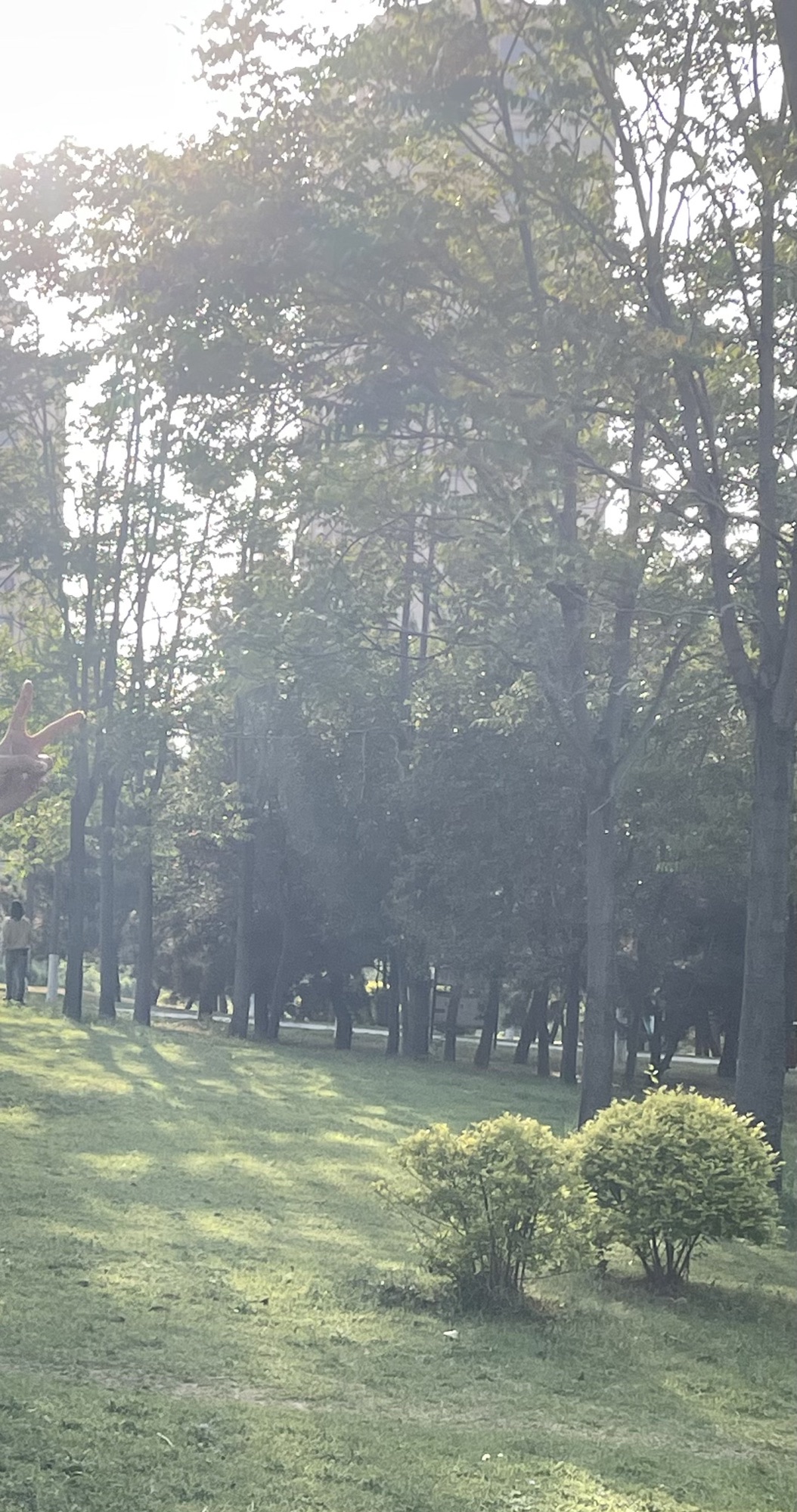 掖县公园旅行图片 3