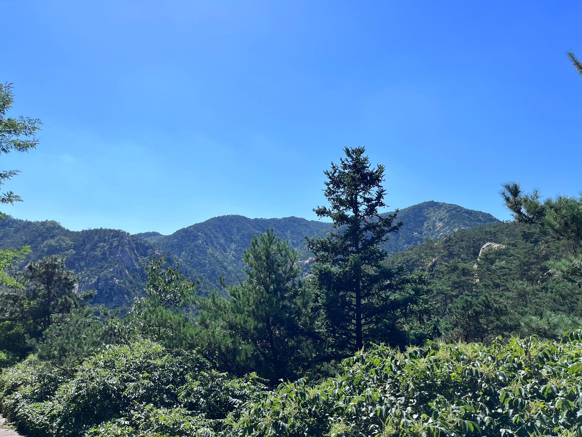招虎山景区旅行图片 3