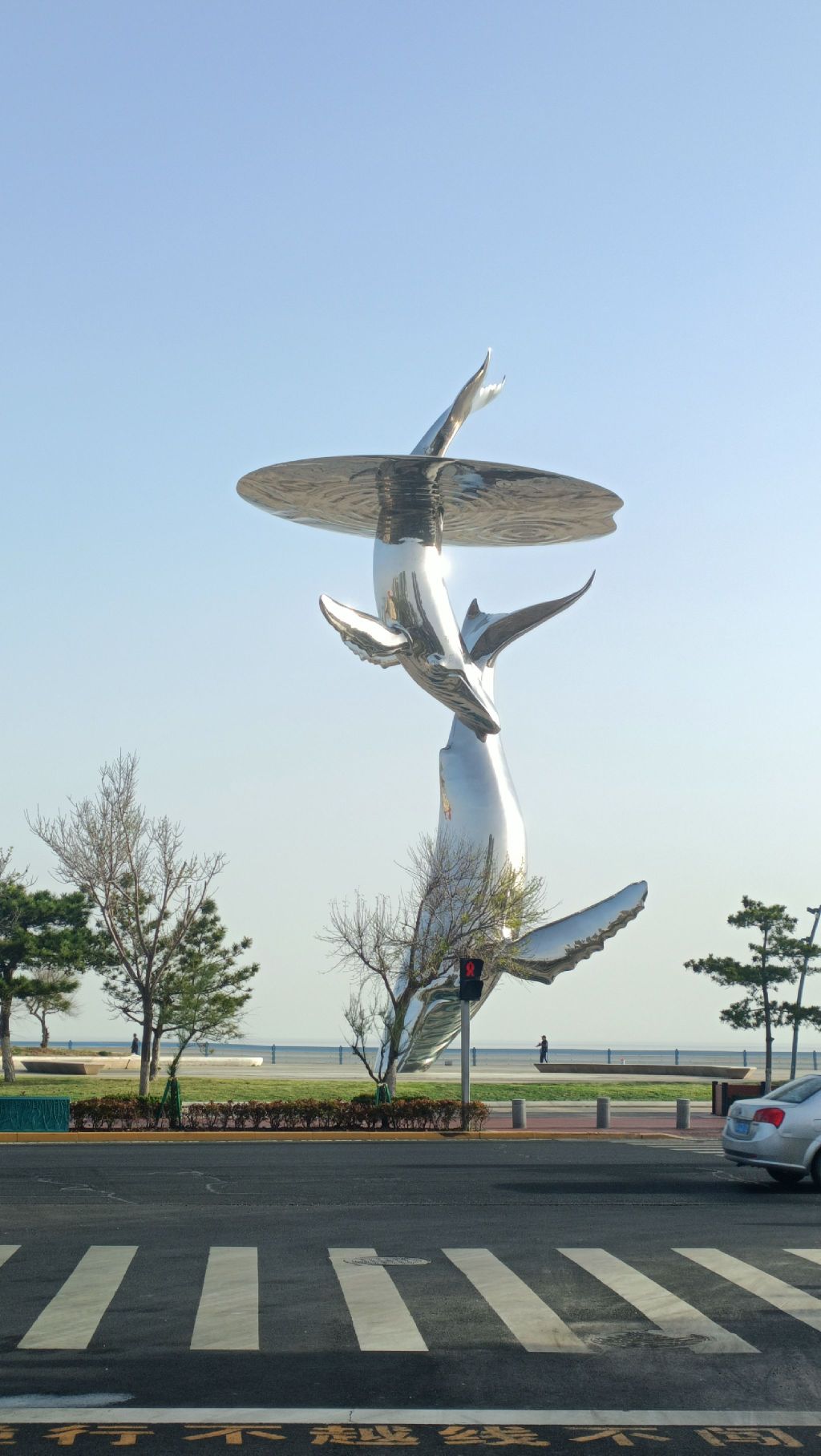 运动科普广场旅行图片 1