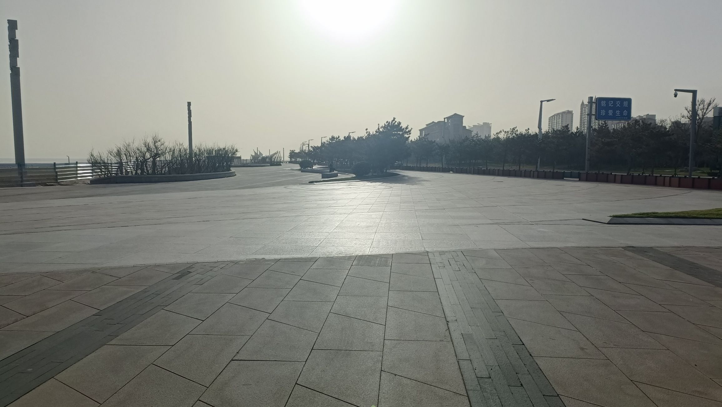 运动科普广场旅行图片 3