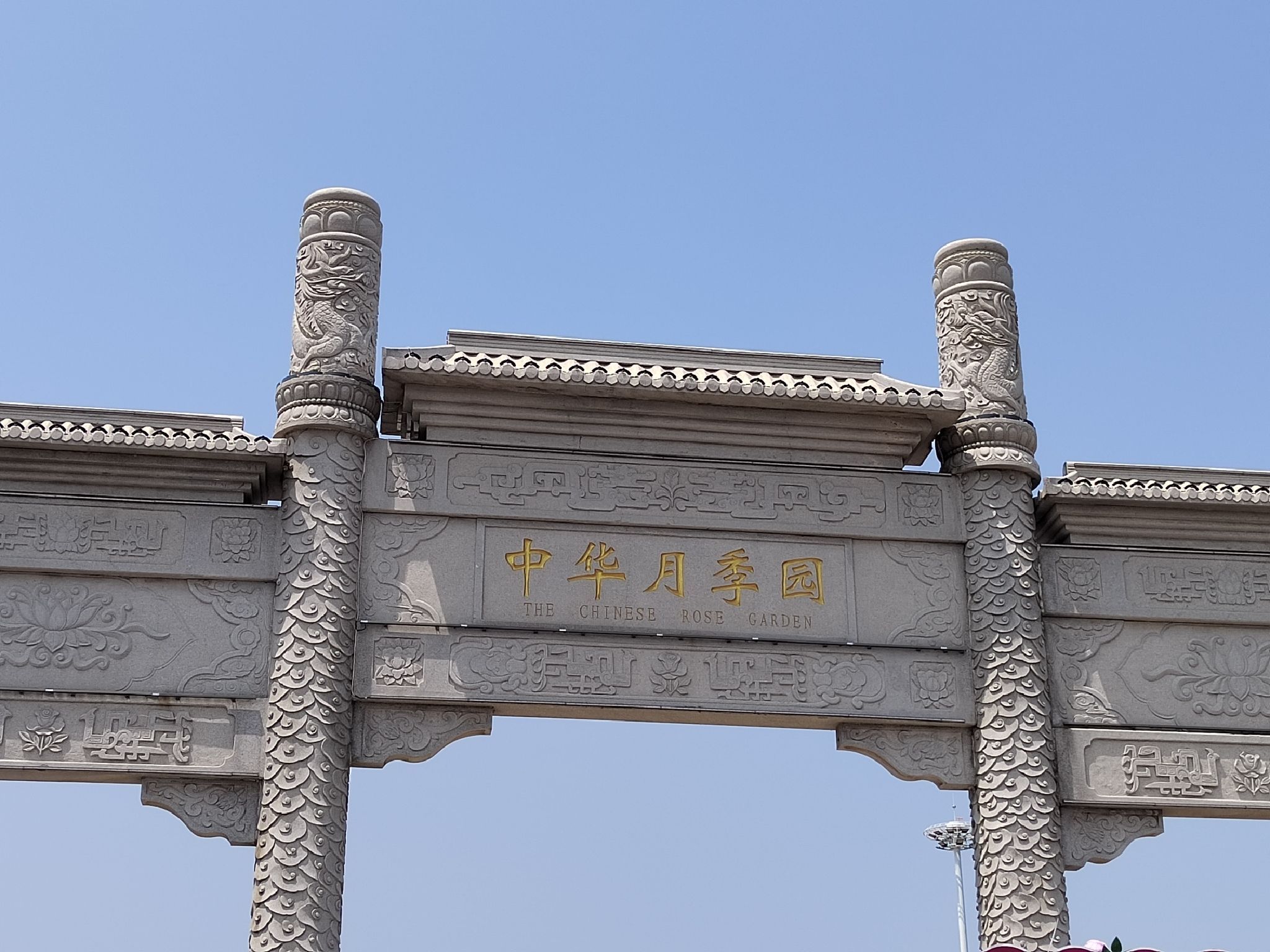 中华月季园旅行图片 1