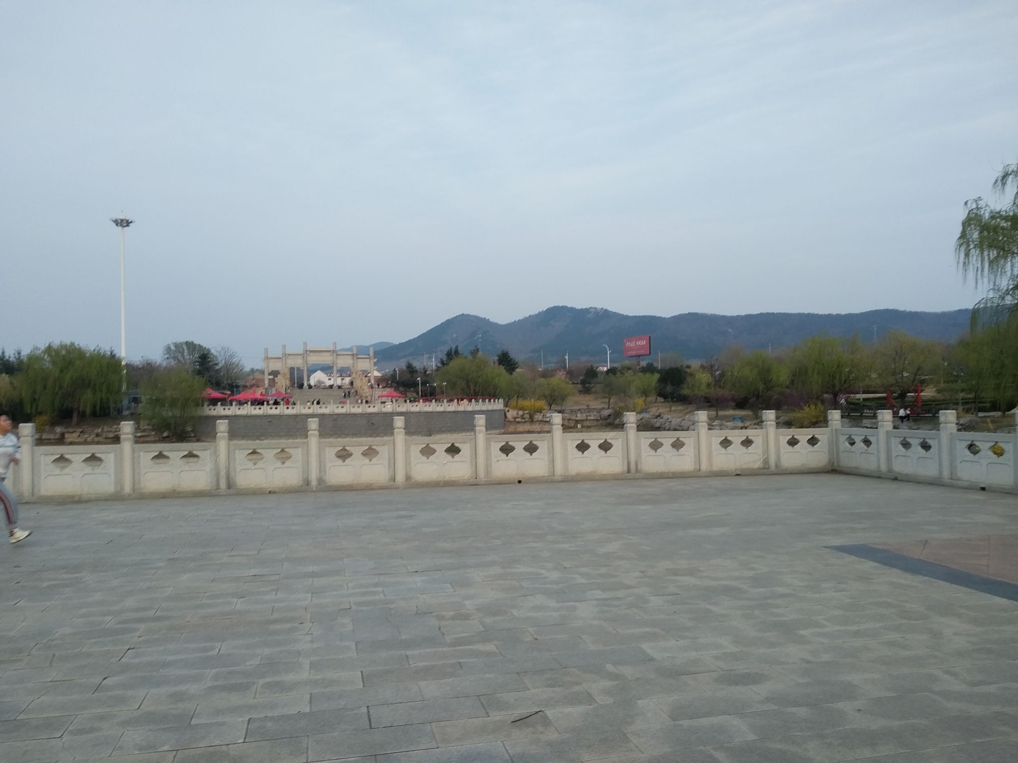 中华月季园旅行图片 1