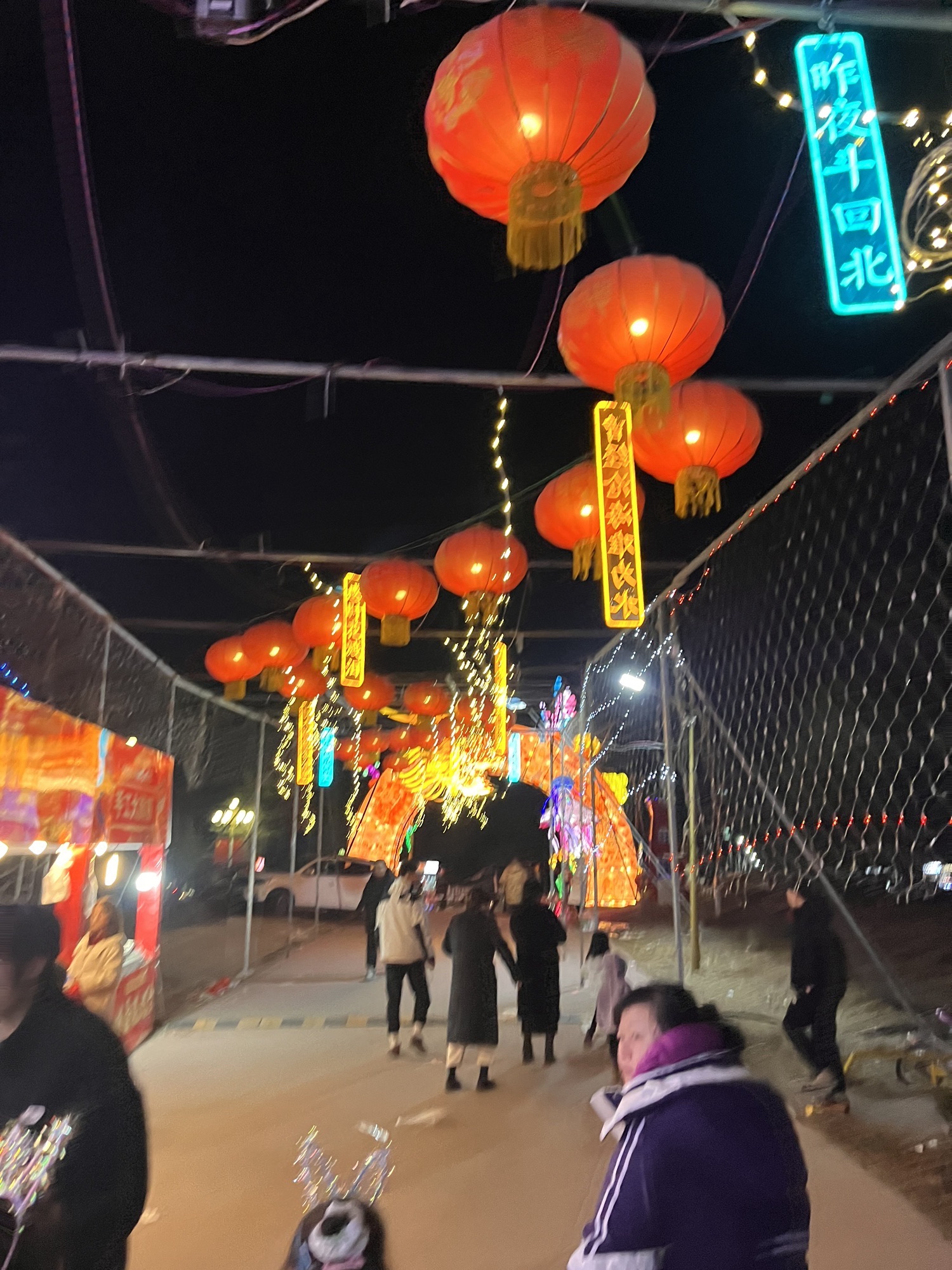 中华月季园旅行图片 1