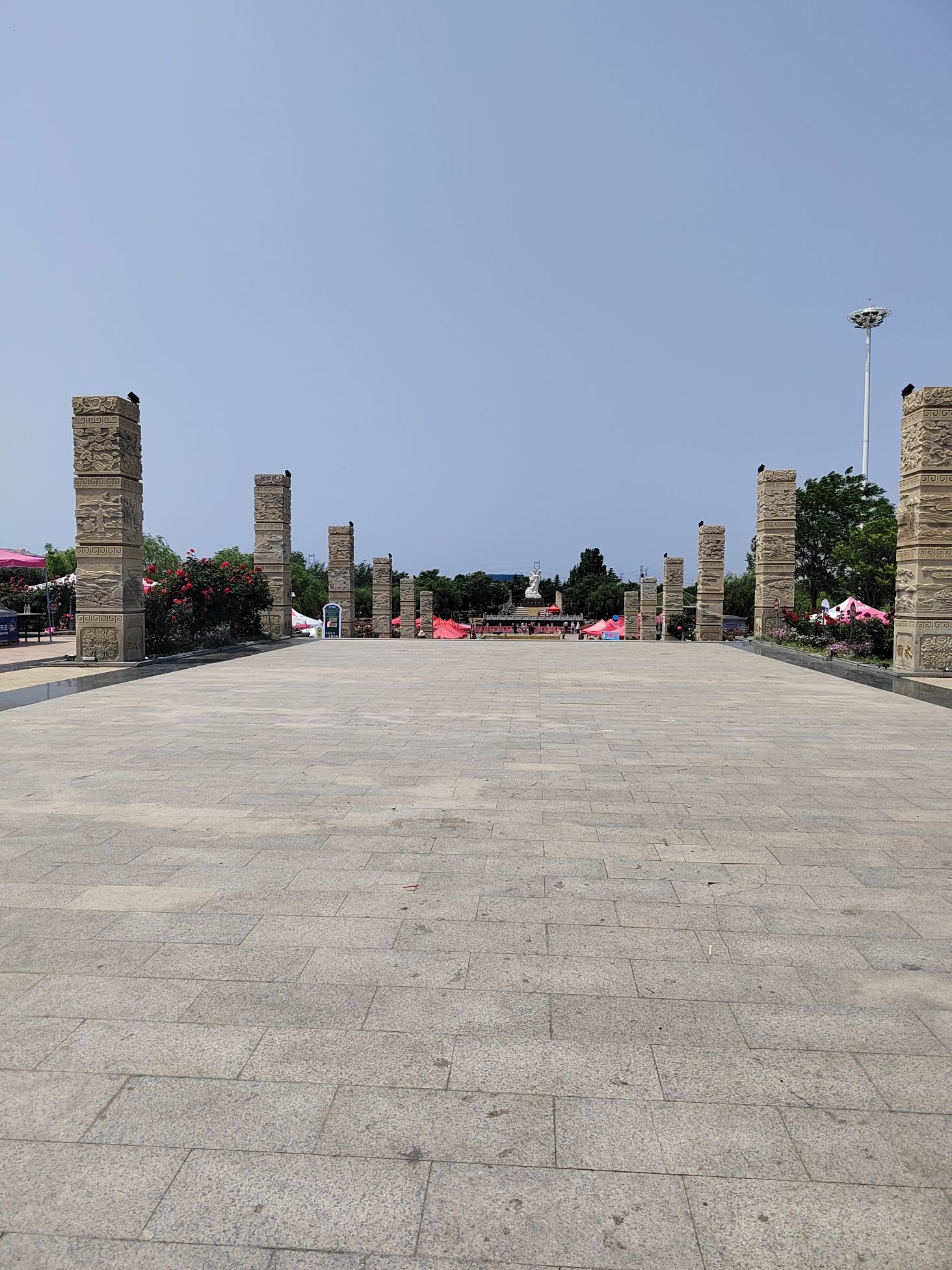 中华月季园旅行图片 2