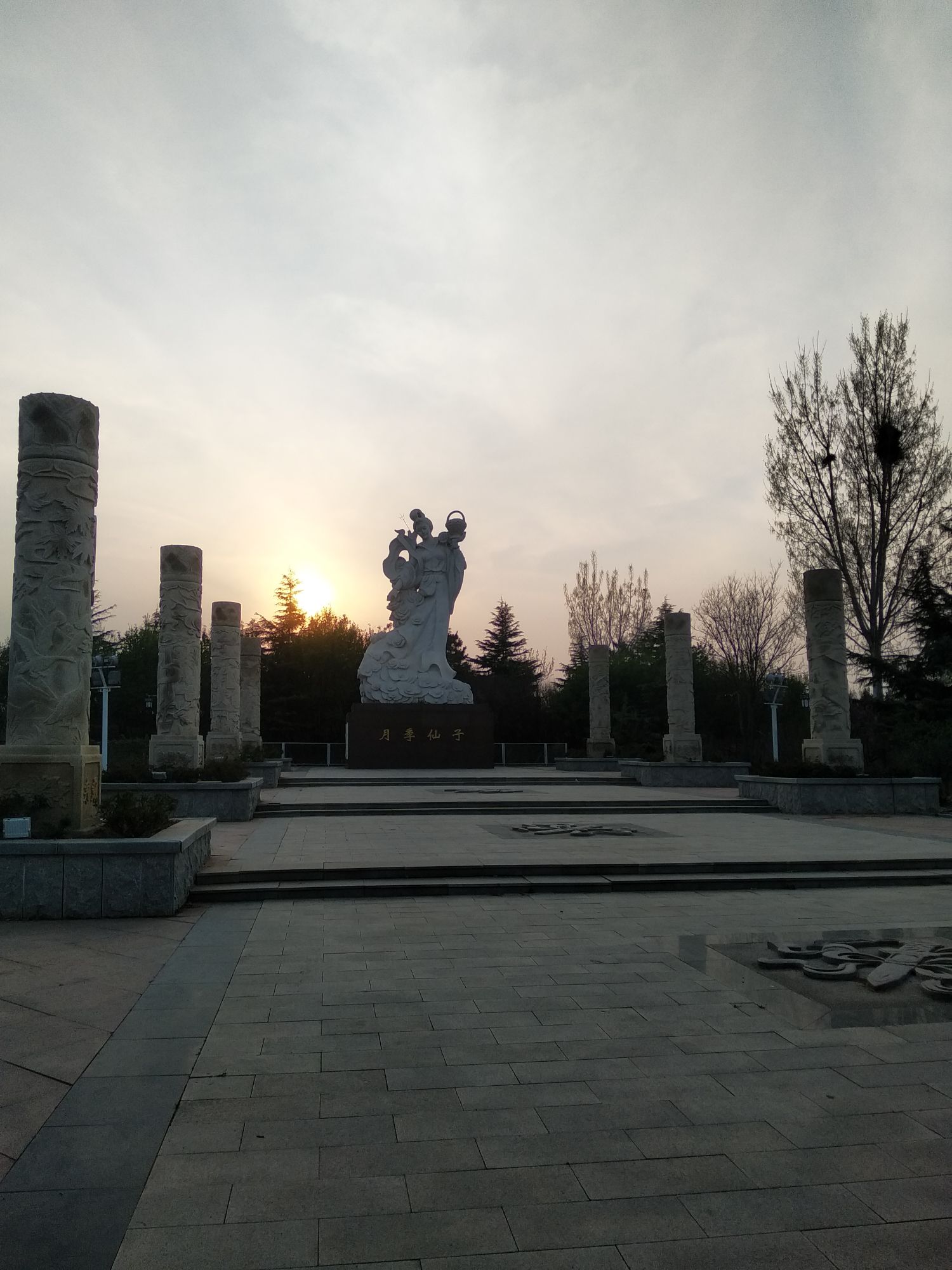 中华月季园旅行图片 3
