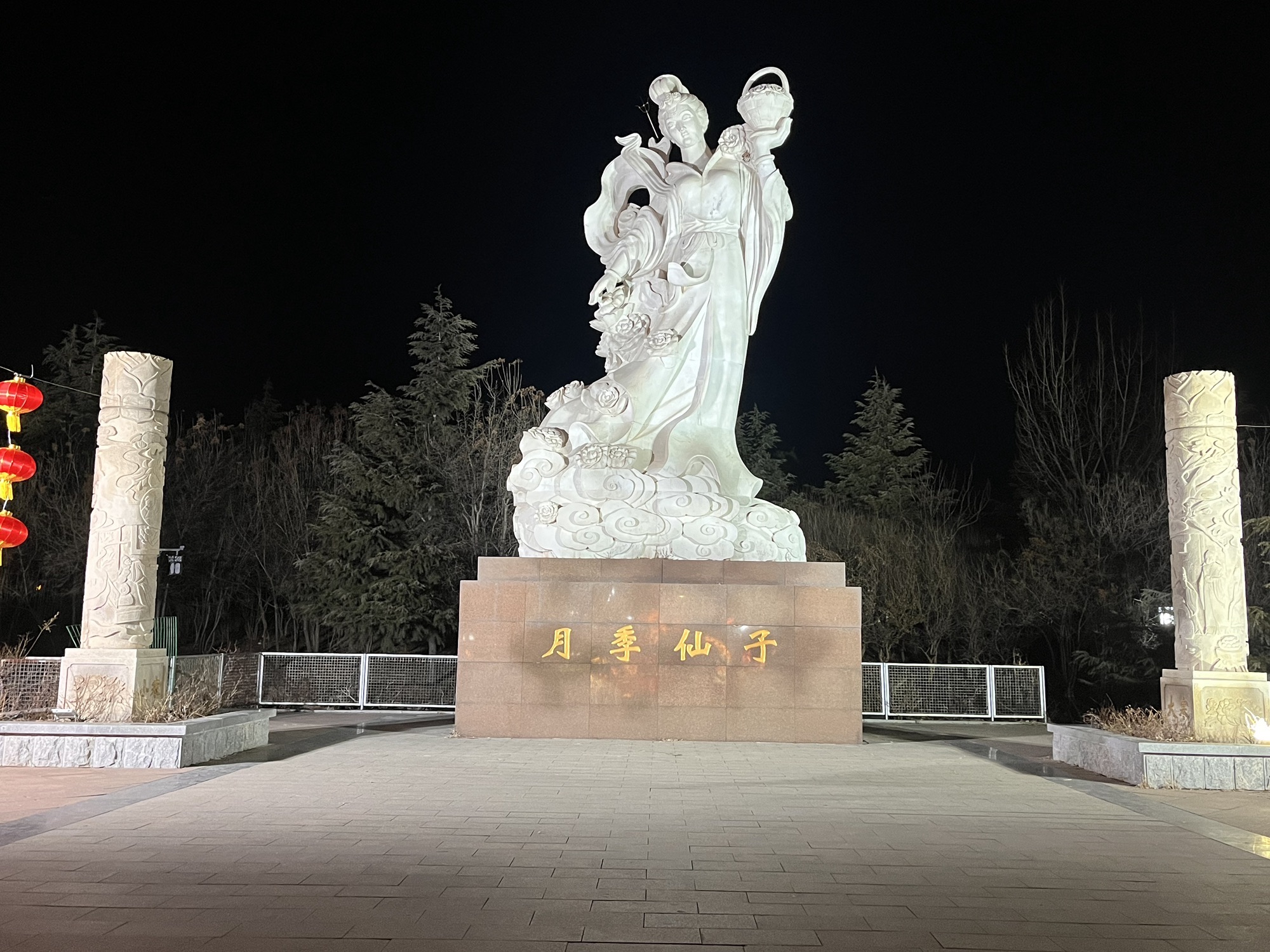 中华月季园旅行图片 3