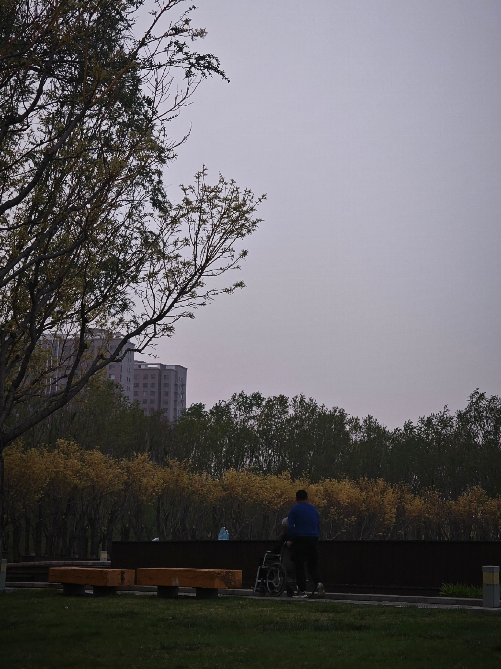 人民公园旅行图片 1