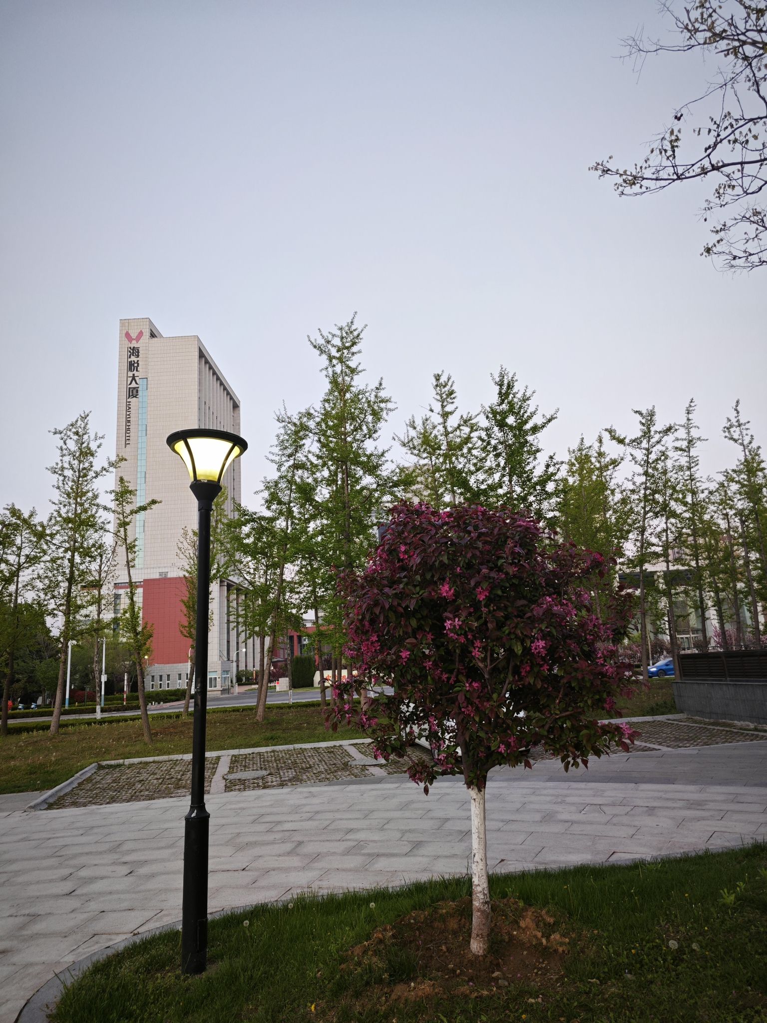烟台五彩文化广场旅行图片 2