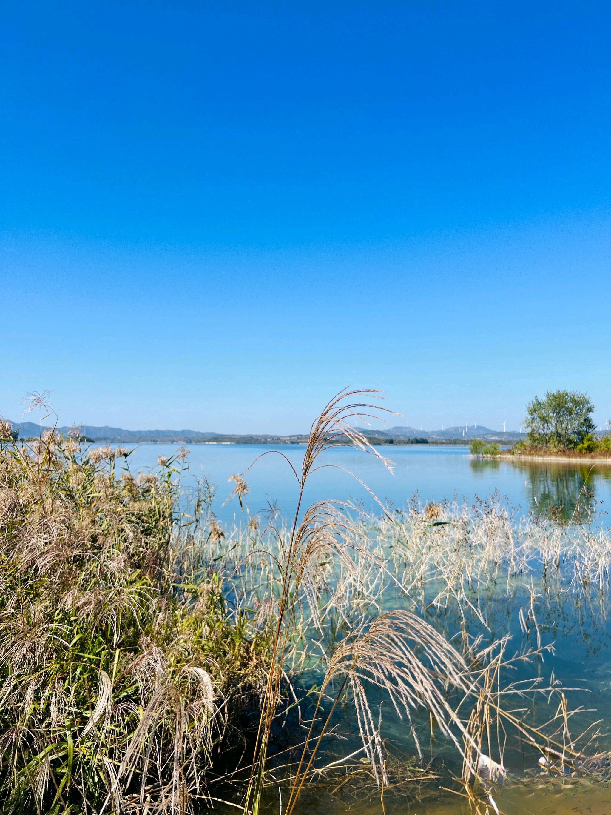 门楼水库风景区旅行图片 1