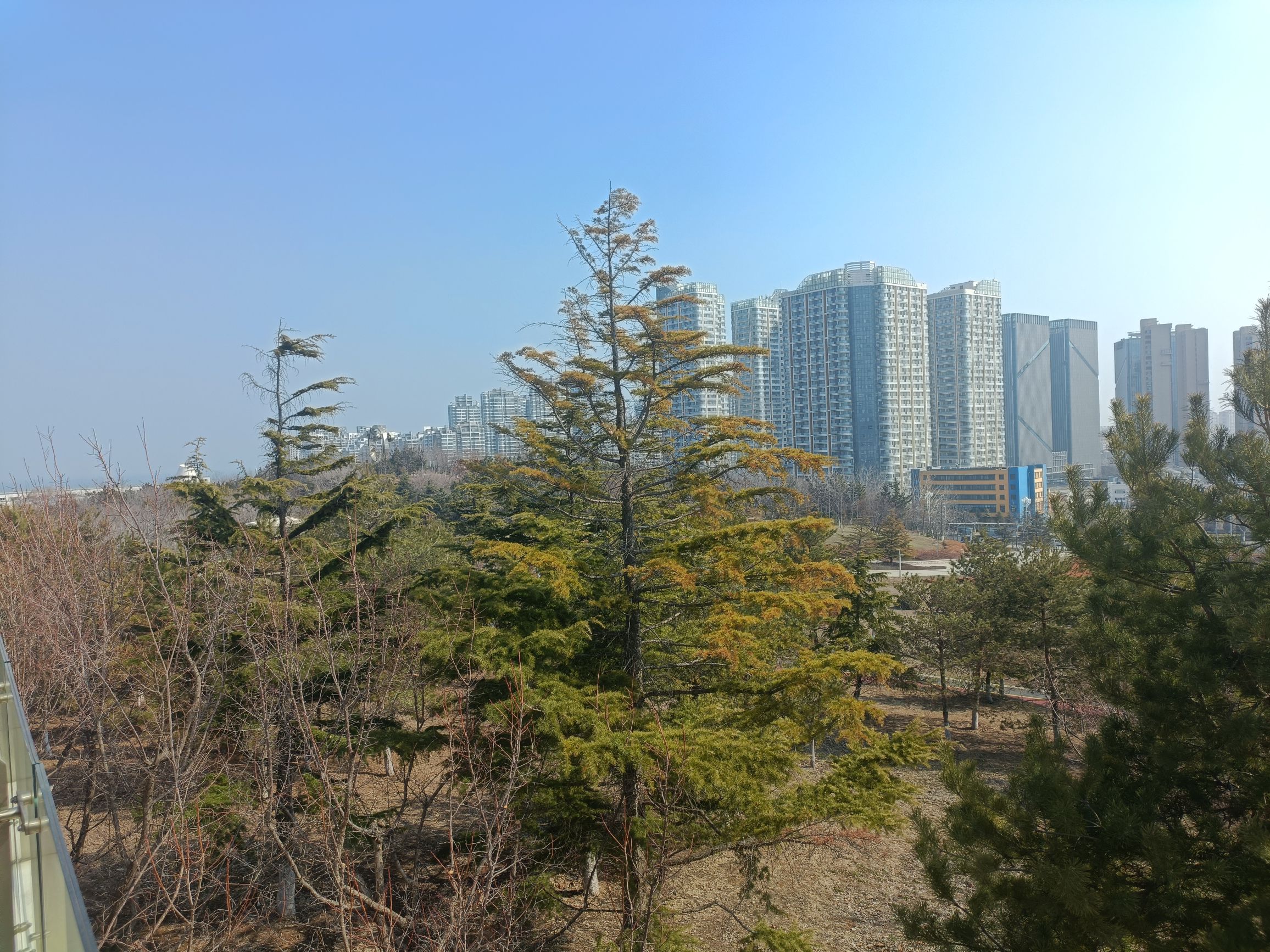 福莱山公园旅行图片 2