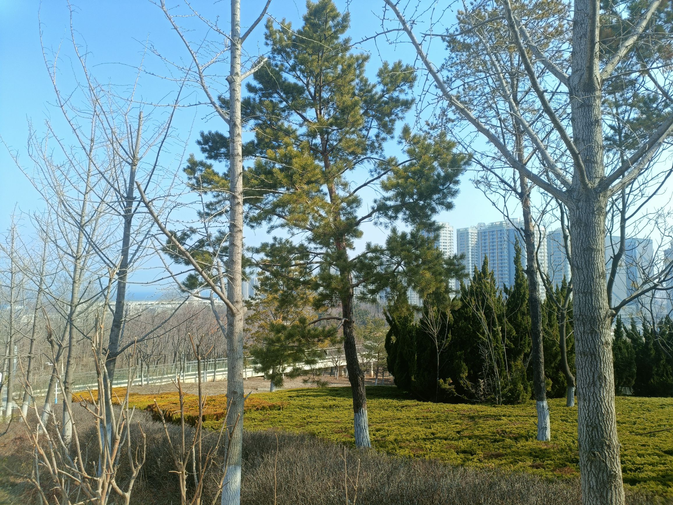 福莱山公园旅行图片 3