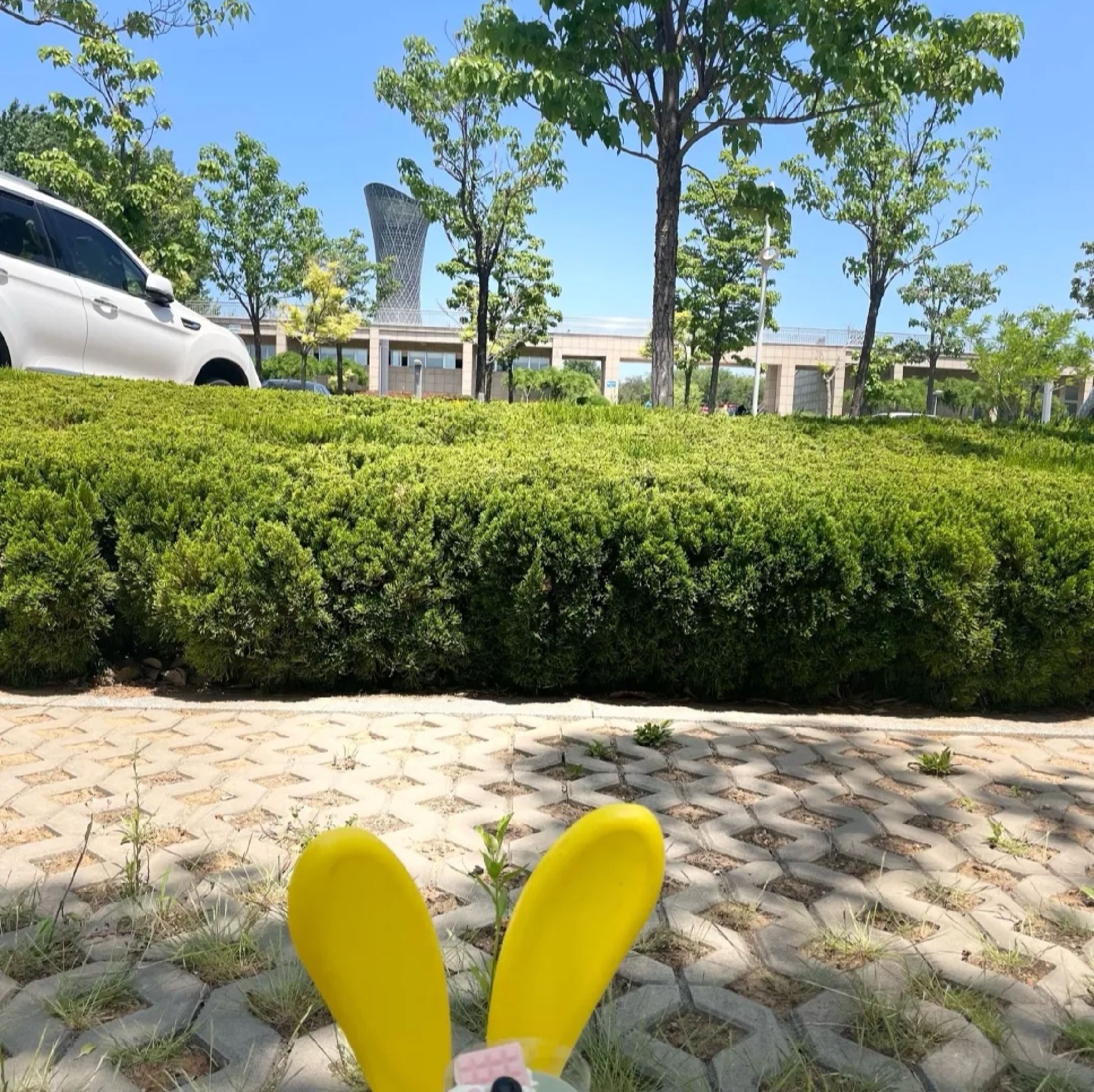 福莱山公园旅行图片 1