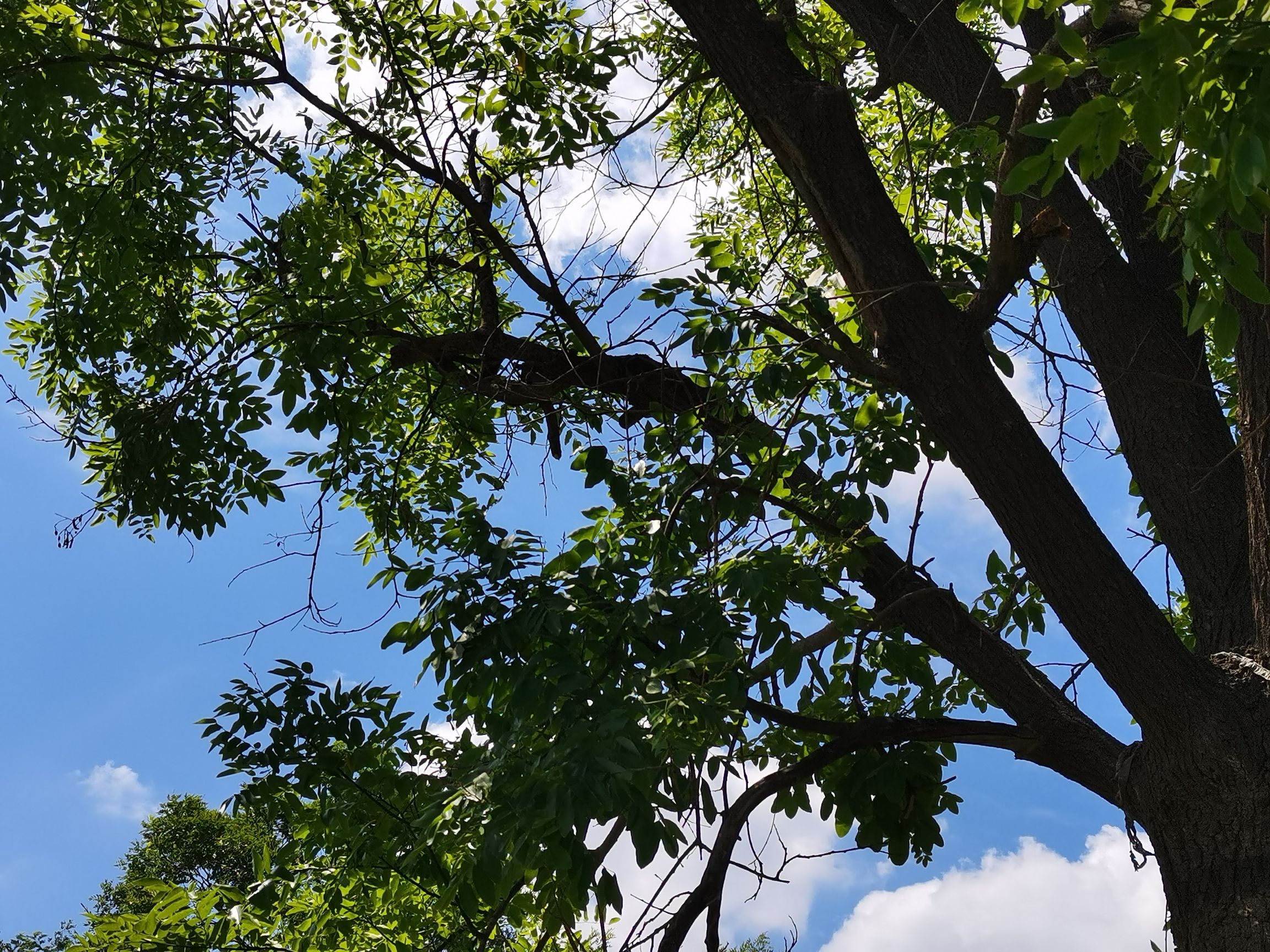 福莱山公园旅行图片 3