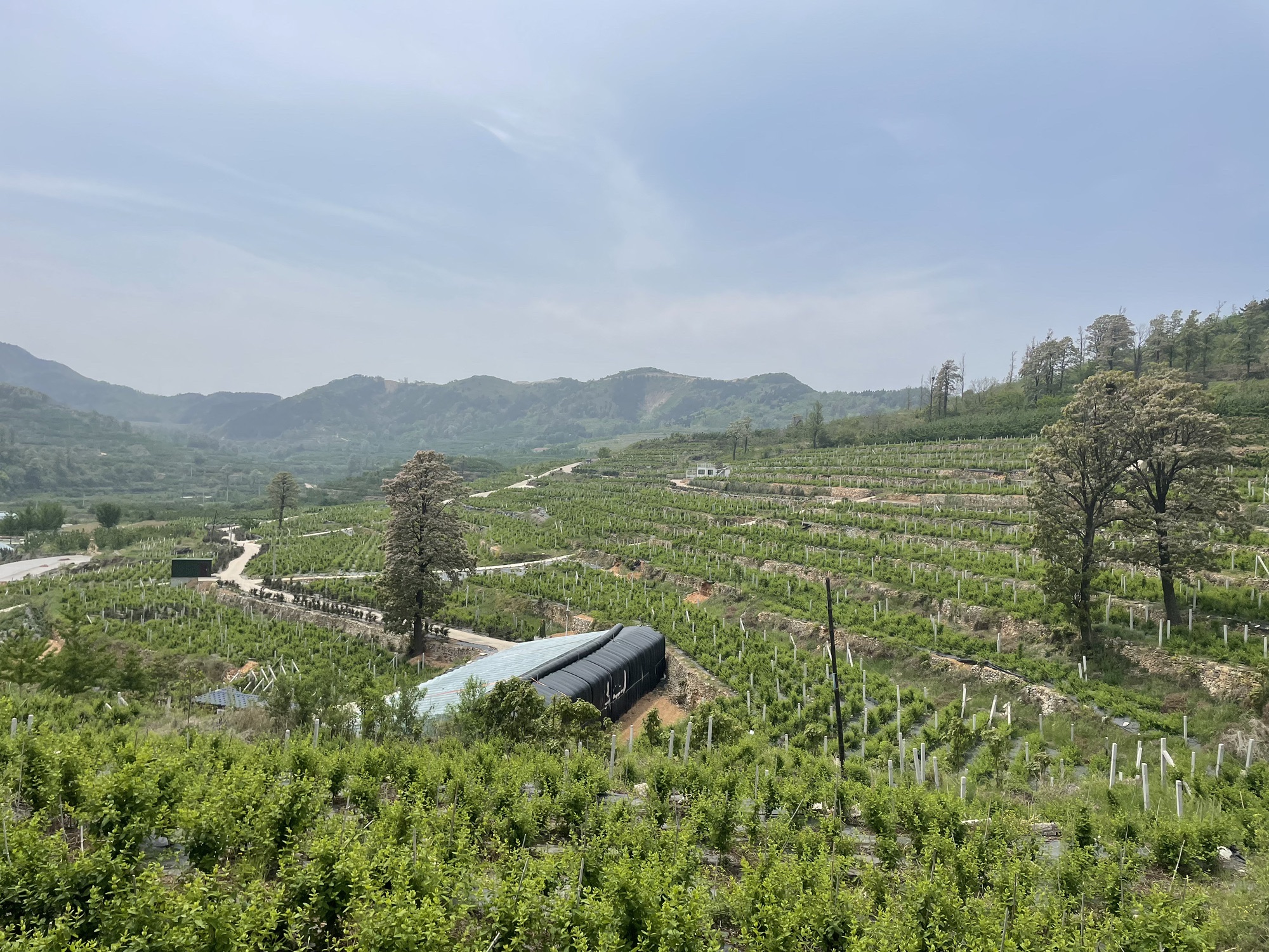 国路夼生态旅游风景区旅行图片 3