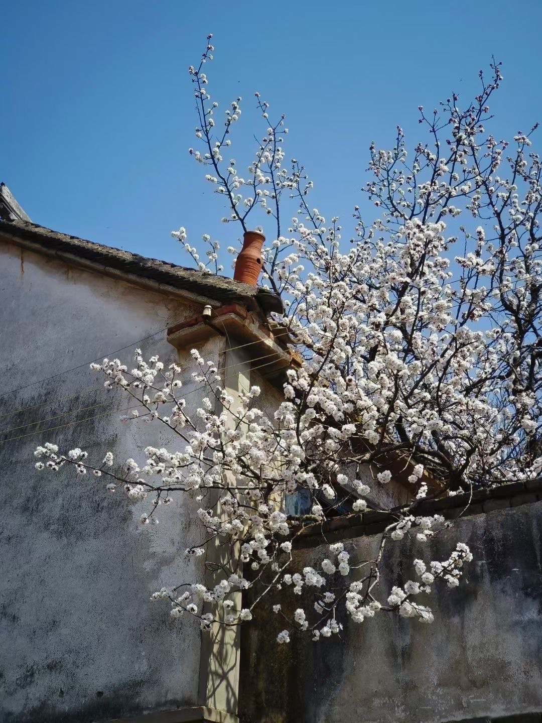 天崮山旅游风景区旅行图片 2