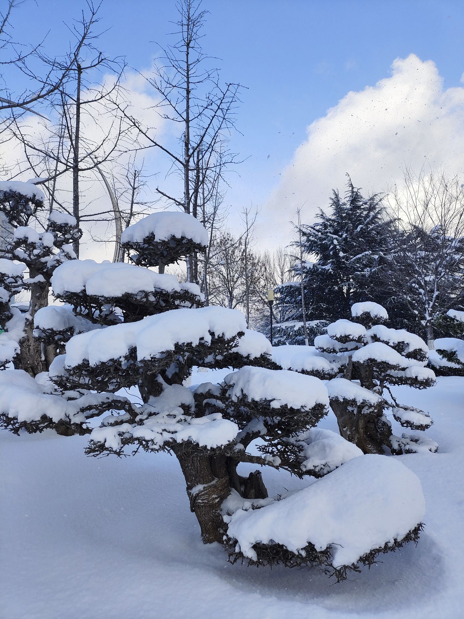 河滨公园旅行图片 3