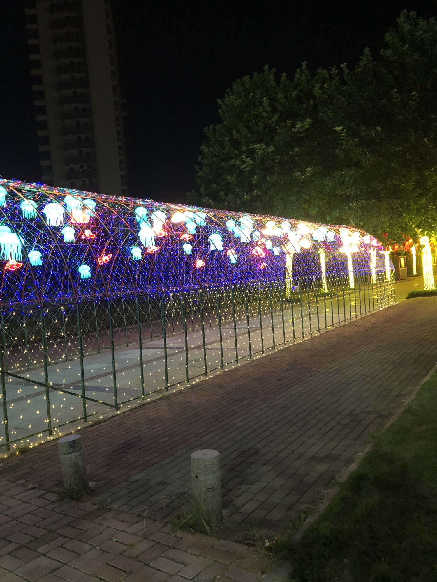 河滨公园旅行图片 1