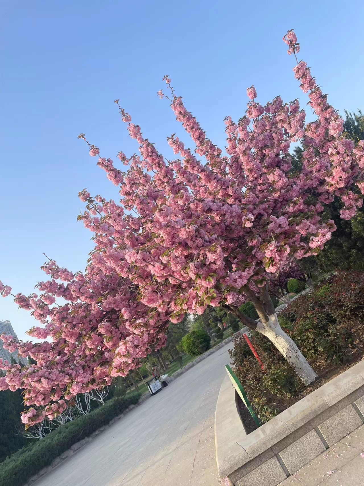 科技广场旅行图片 2