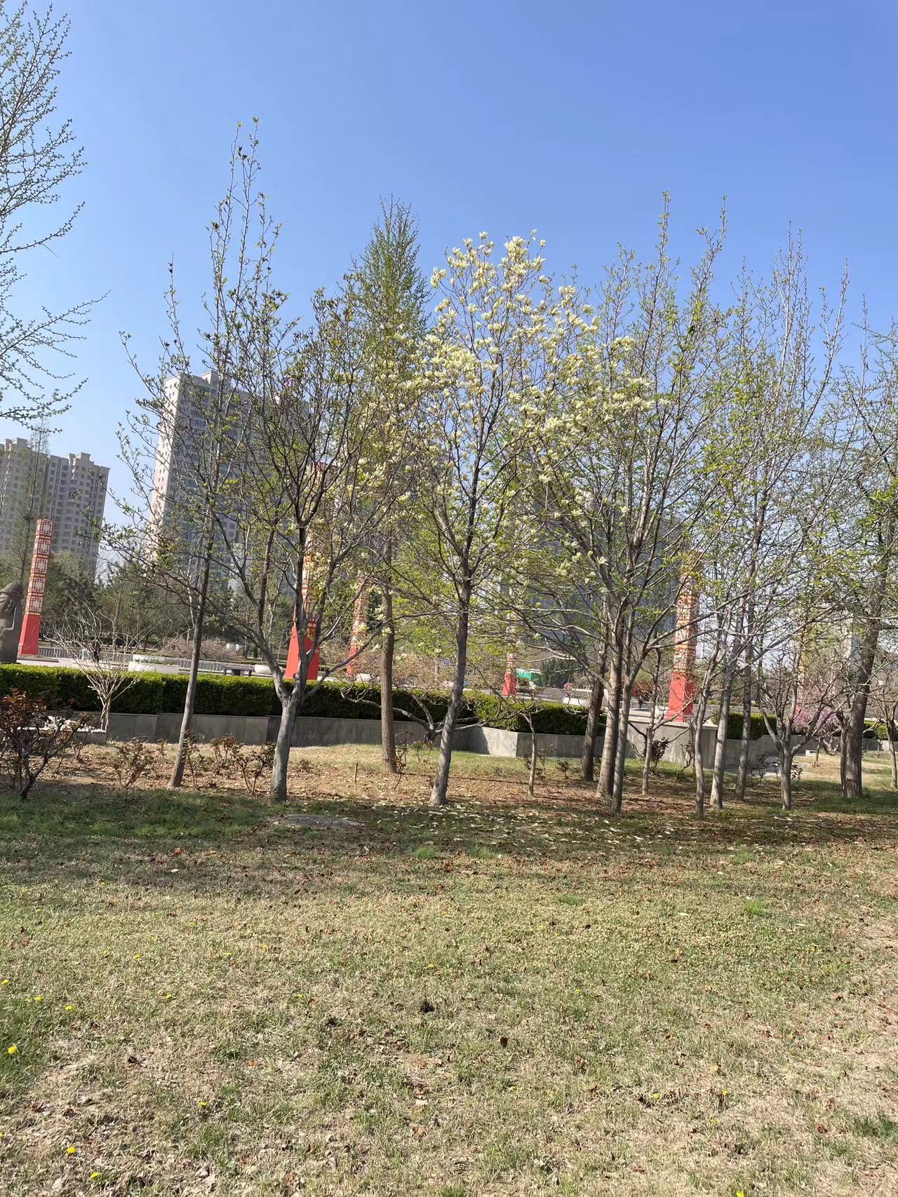 科技广场旅行图片 3